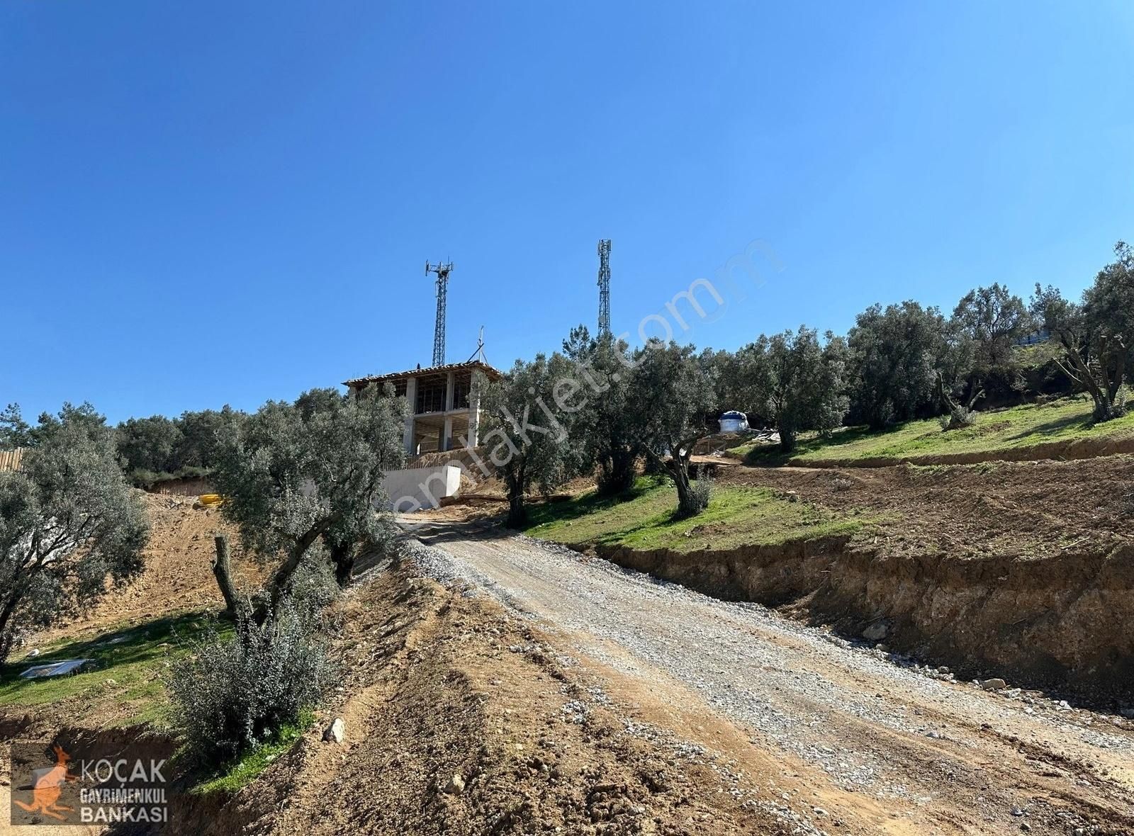 Çiçekli Mahallesi Köy Yanı İmara Yakın 1395 M2 Satılık Zeytinlik - Görsel 10