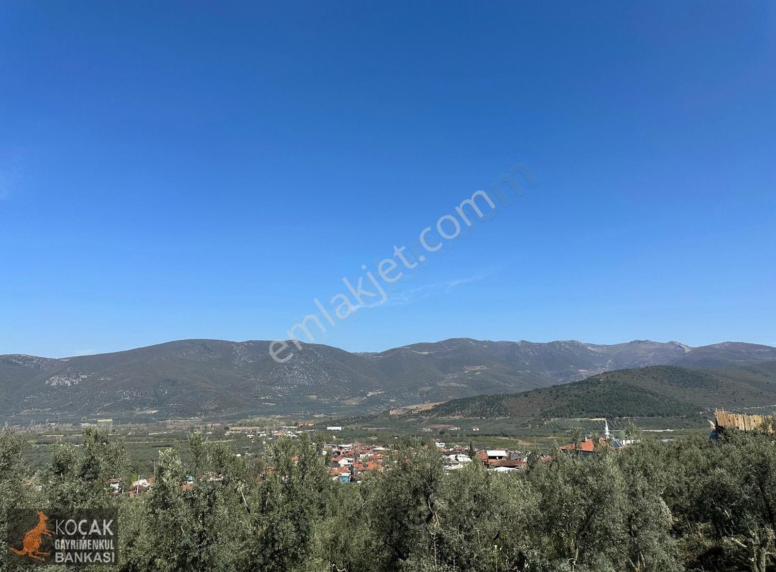 Çiçekli Mahallesi Köy Yanı İmara Yakın 1395 M2 Satılık Zeytinlik - Görsel 12