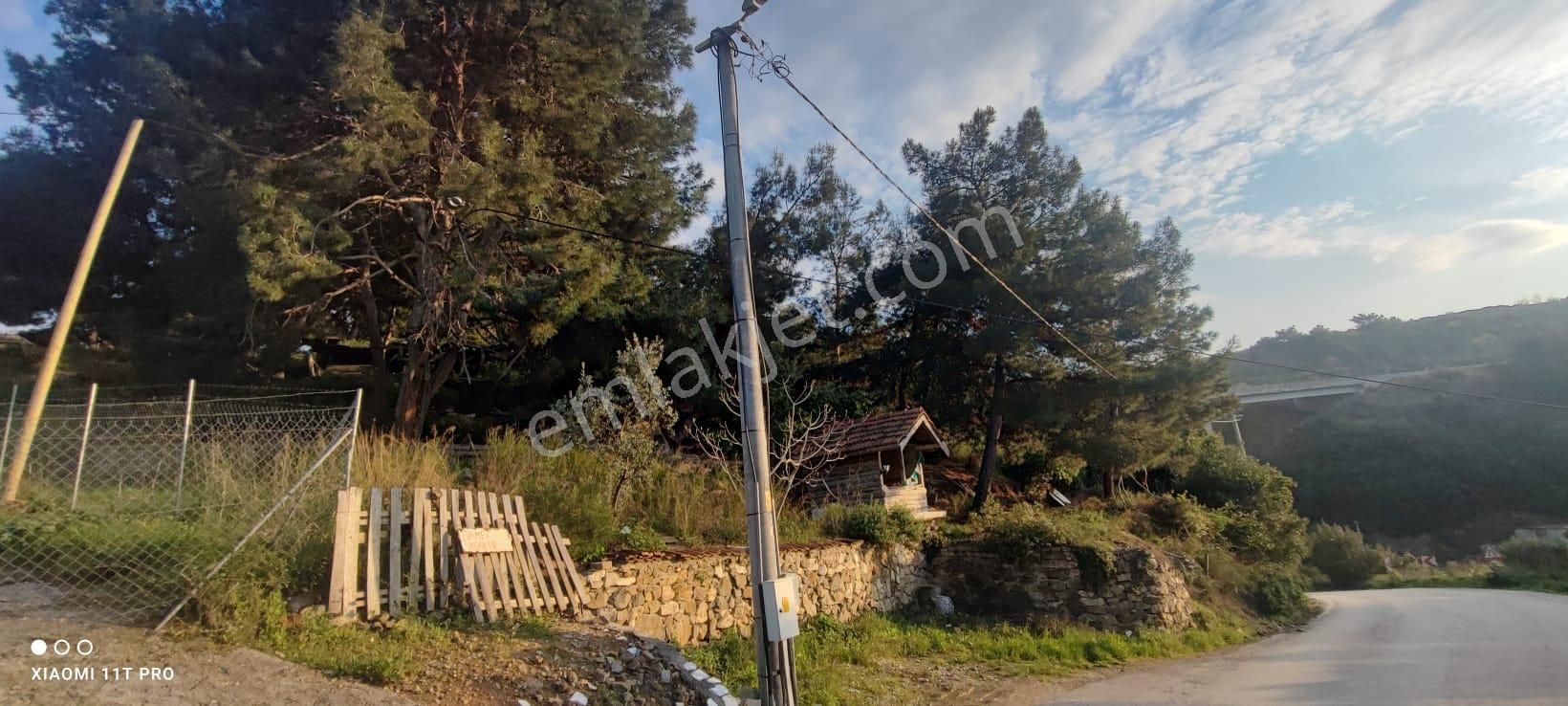 Mudanya Altıntaş'ta Deniz Manzaralı Kiralık Ticari Arazi !!!