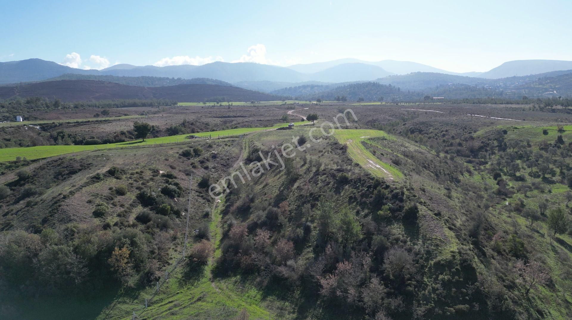 Muğla Milas Kısırlar'da Golf Sahalarına Yakın 8,5 Dönüm Arazi - Görsel 20