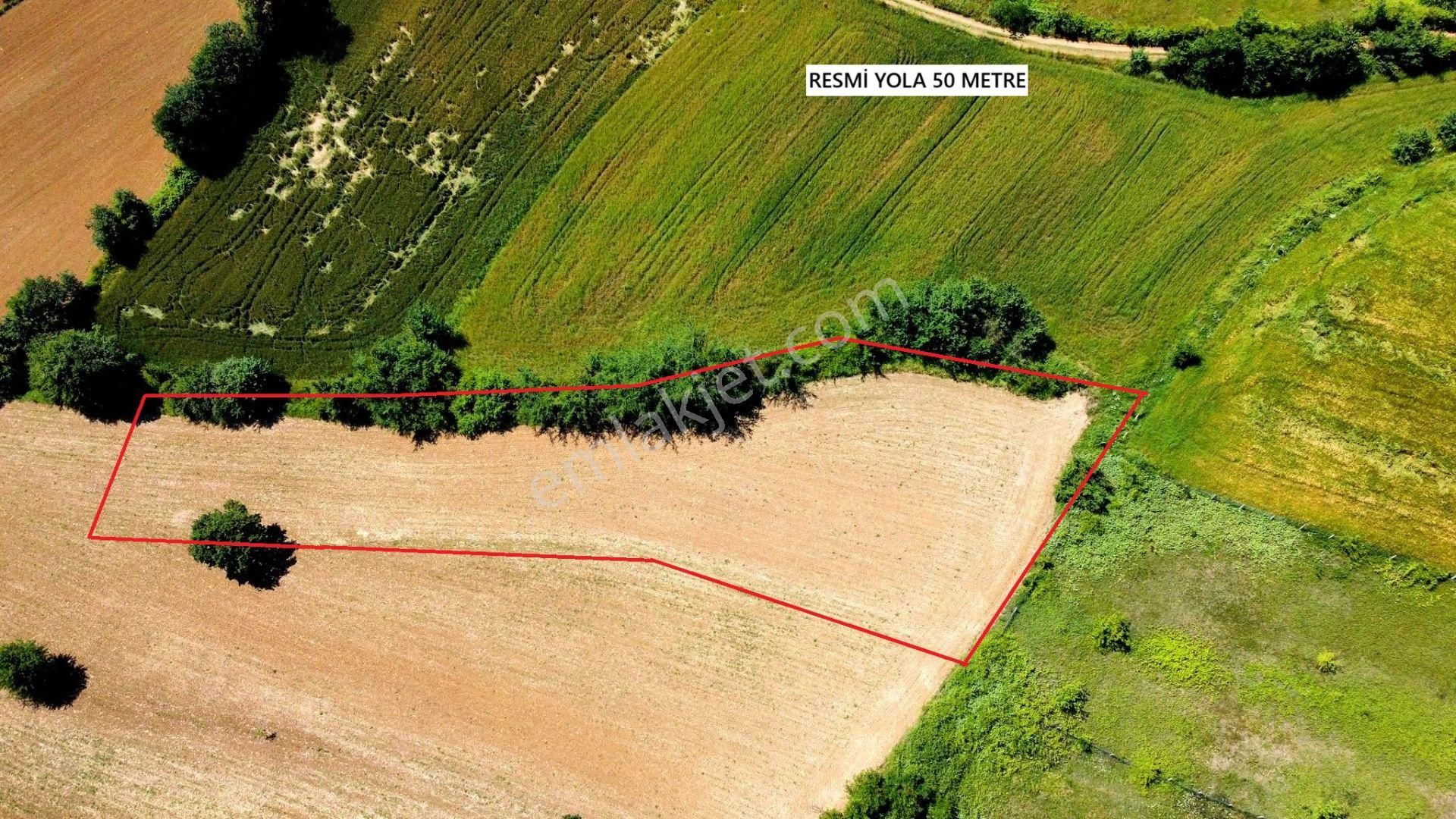 İzmit Kandıra Yoluna 1 Parsel , Kupon Arazi!
