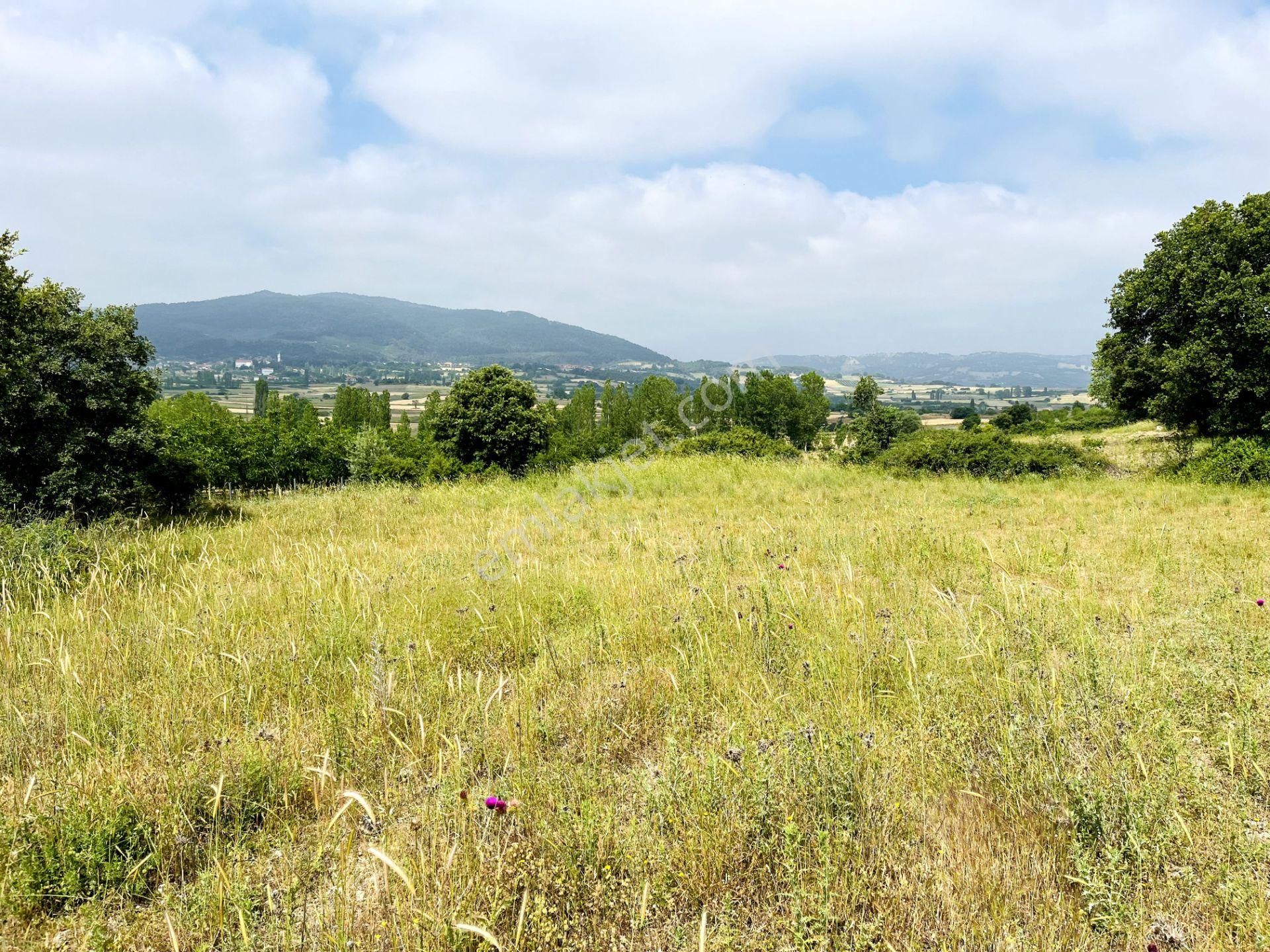 Balıkesir İvrindi Çarkacı Mh. Çakmak Mevkiinde Satılık Tarla