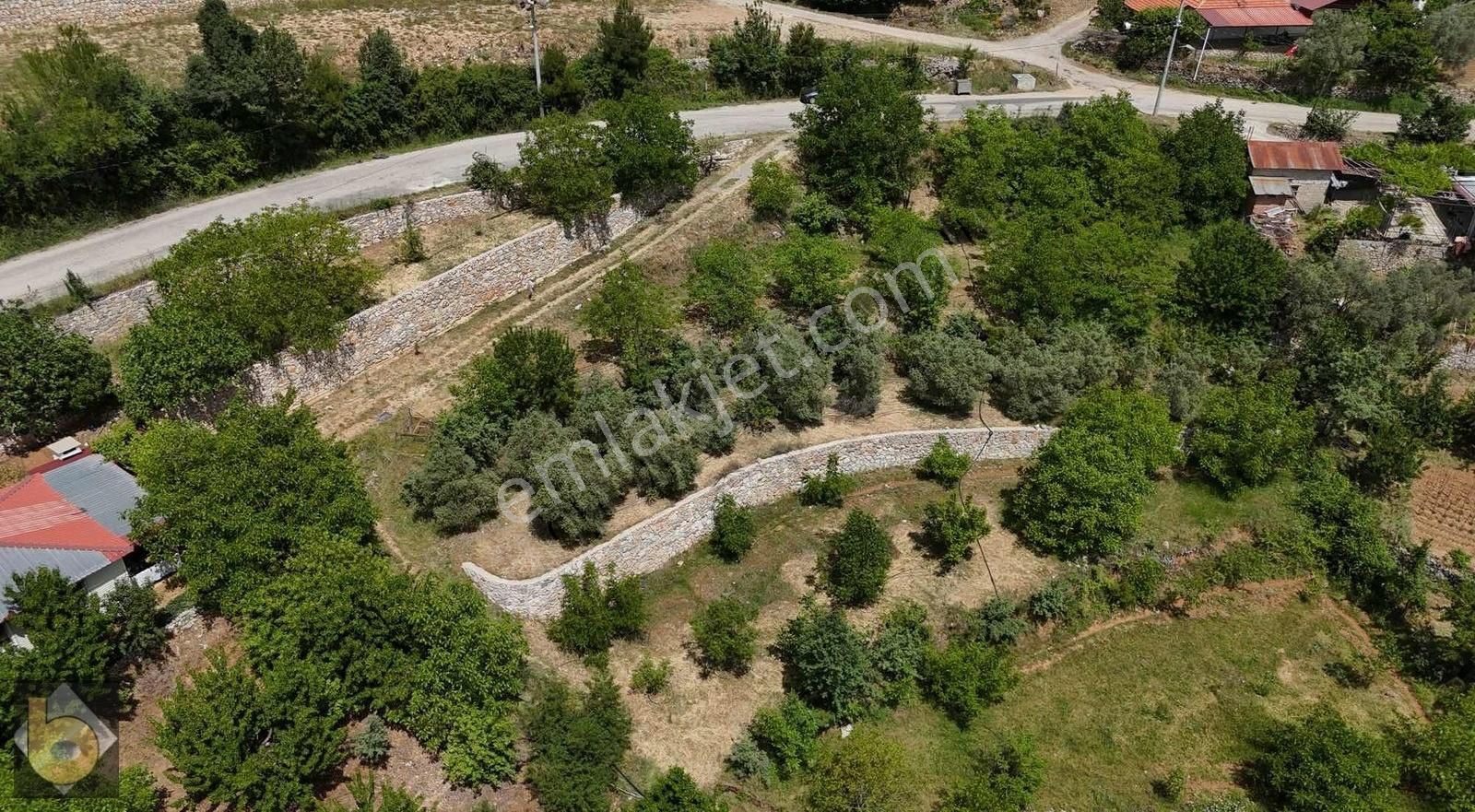 Fethıye Nıfte 1021 M2 Müstakil Tapulu Yetişkin Ağaçlı - Görsel 7