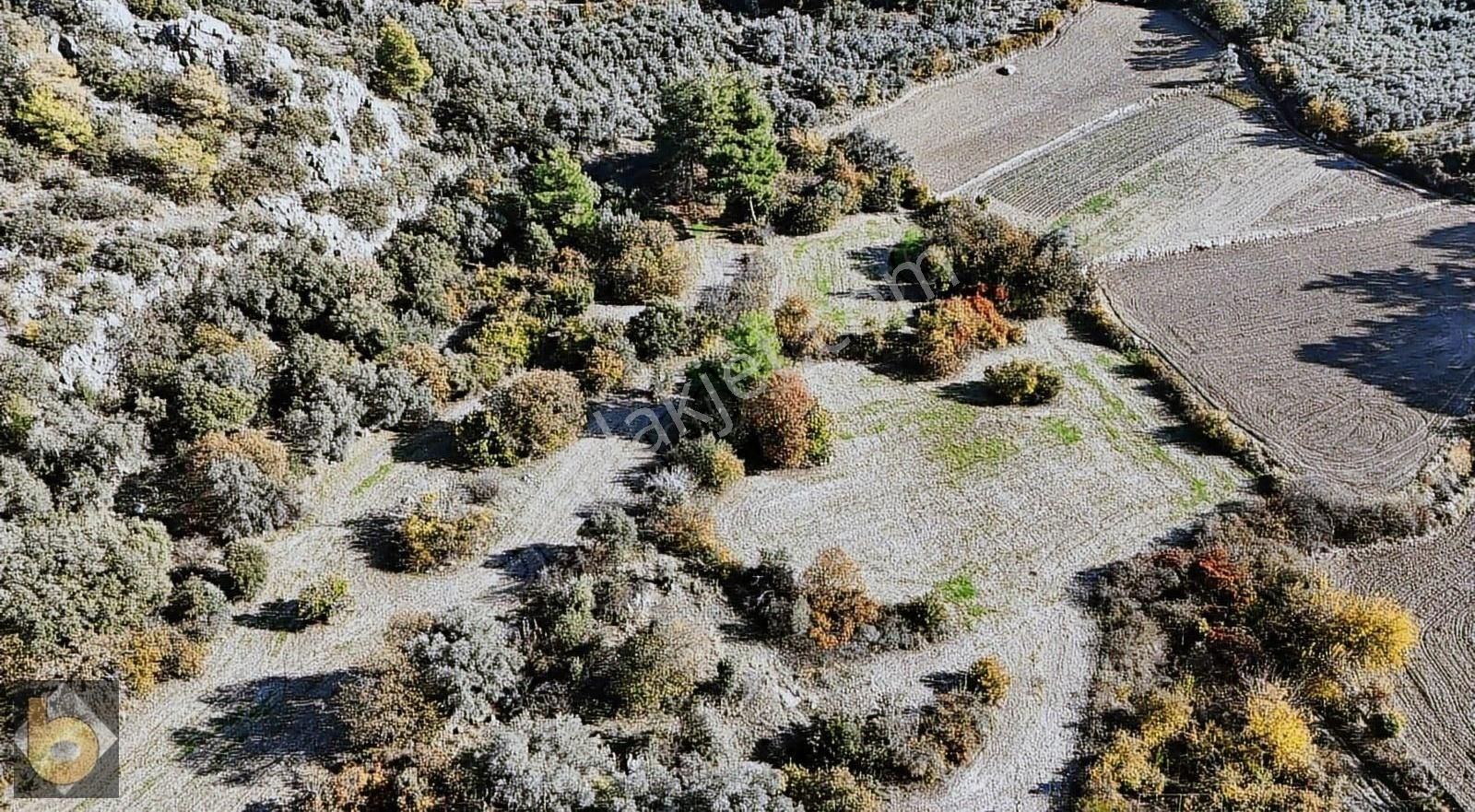 Seydikemer Hacıosmanlar'da 17.169m2 Müstakil Tapulu Tarla - Görsel 8