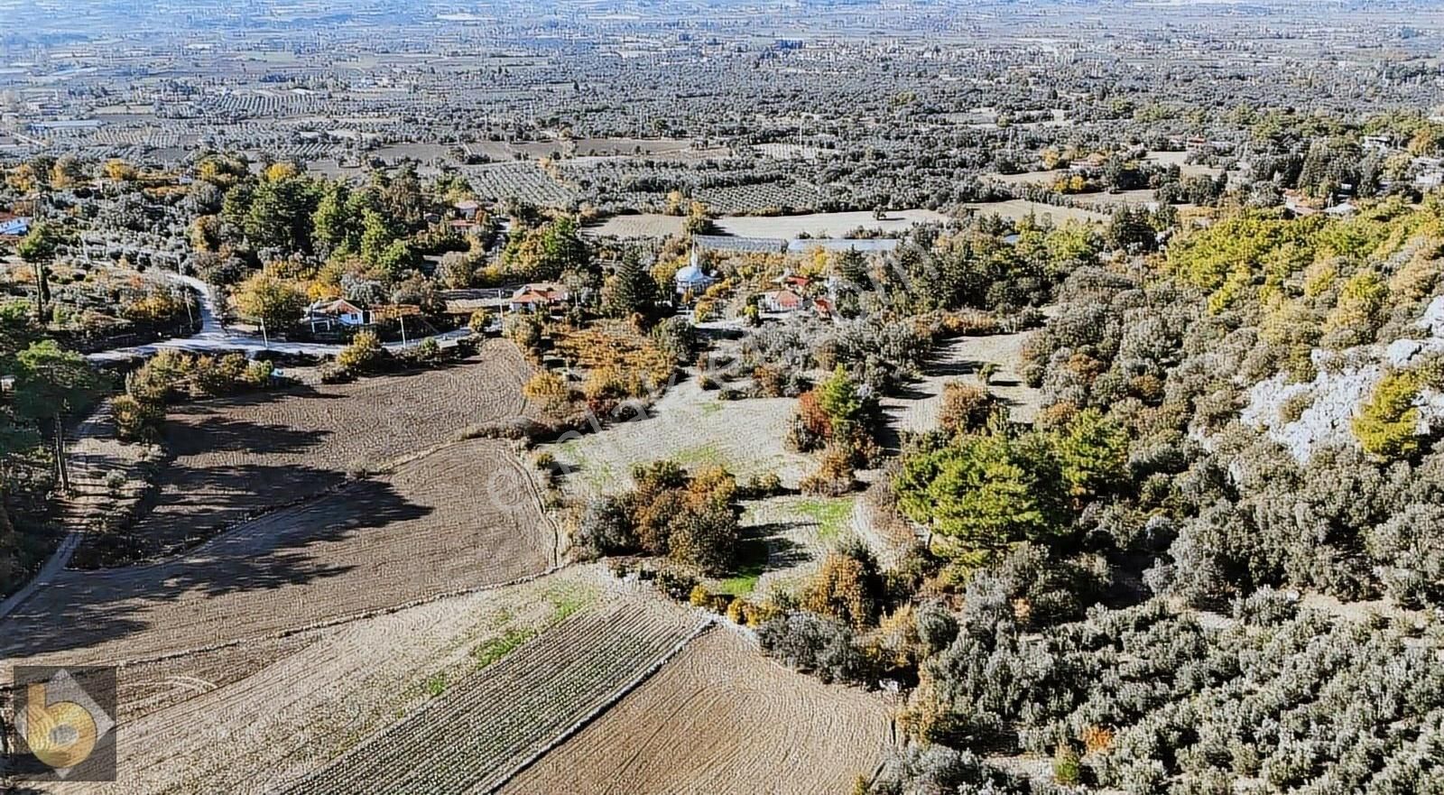 Seydikemer Hacıosmanlar'da 17.169m2 Müstakil Tapulu Tarla - Görsel 3