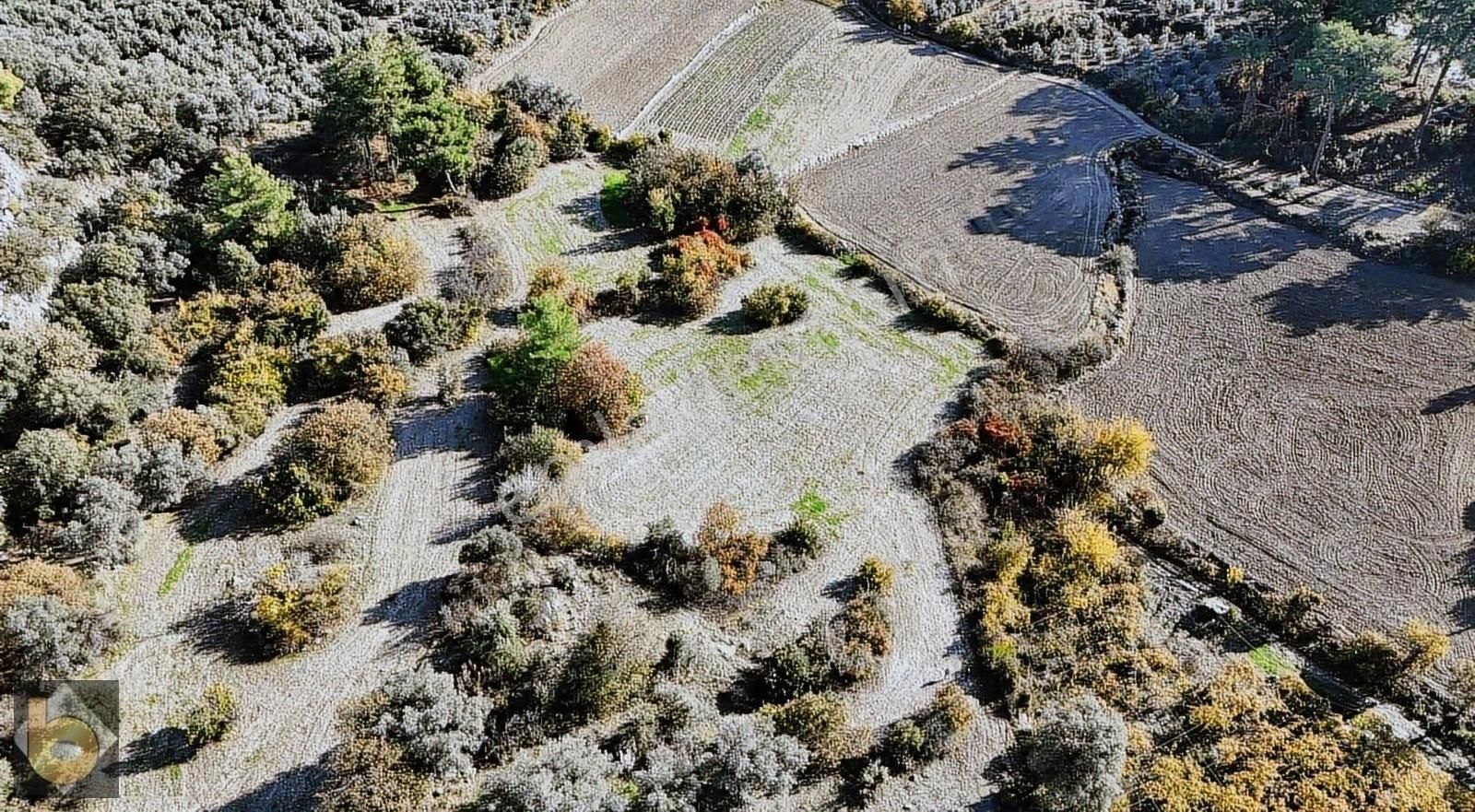 Seydikemer Hacıosmanlar'da 17.169m2 Müstakil Tapulu Tarla - Görsel 15