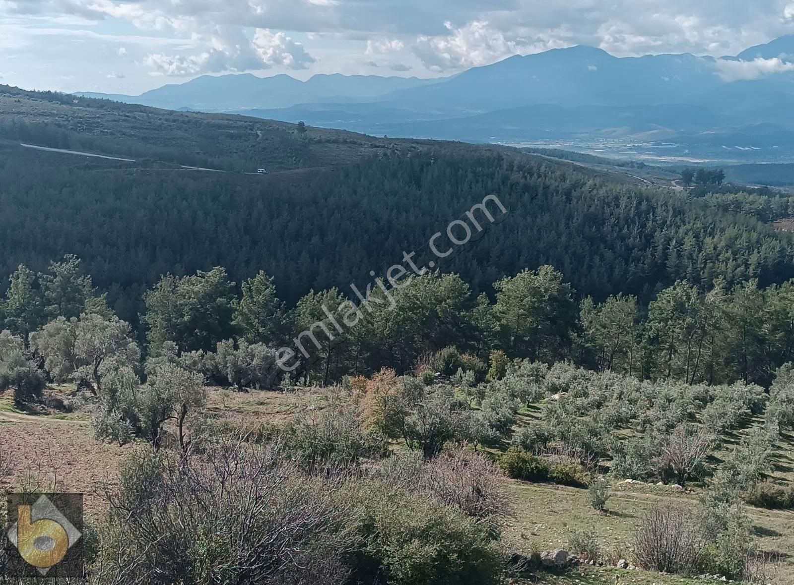 Seydikemer Çatak Ta Satılık Tarla - Görsel 3
