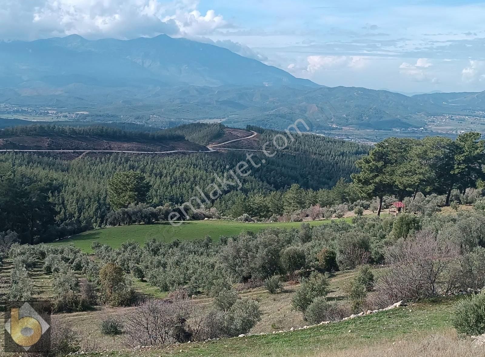 Seydikemer Çatak Ta Satılık Tarla - Görsel 13