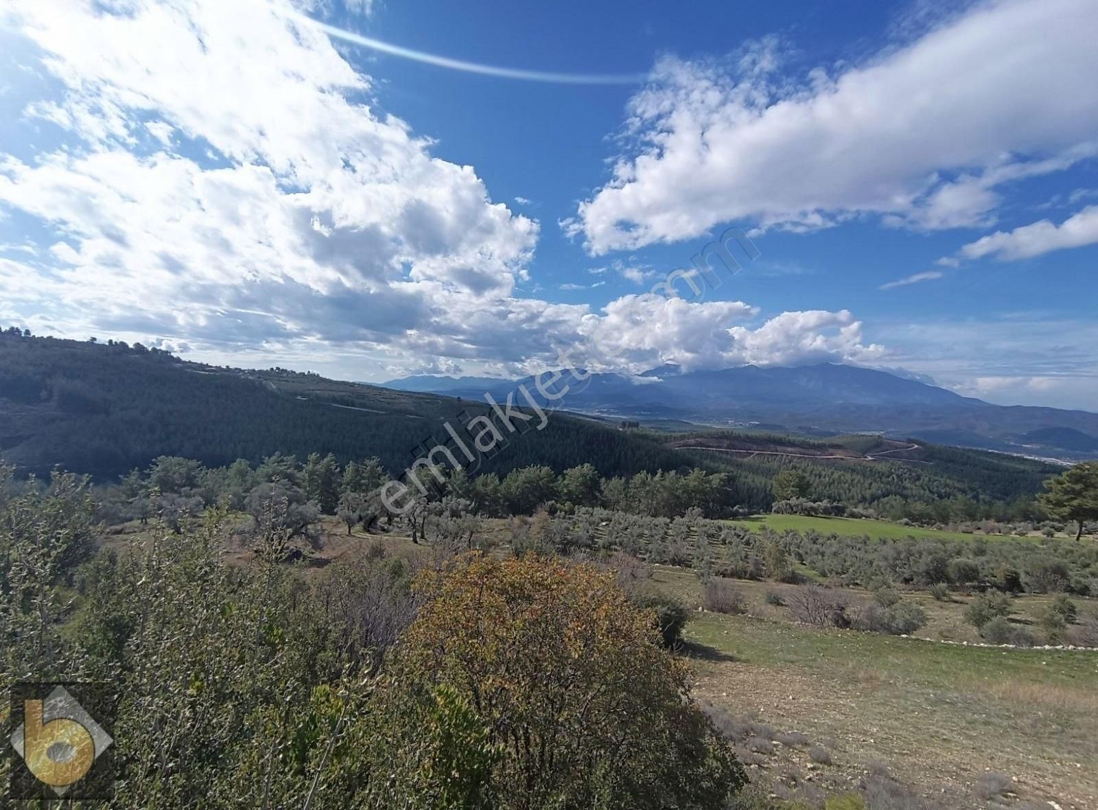Seydikemer Çatak Ta Satılık Tarla - Görsel 19