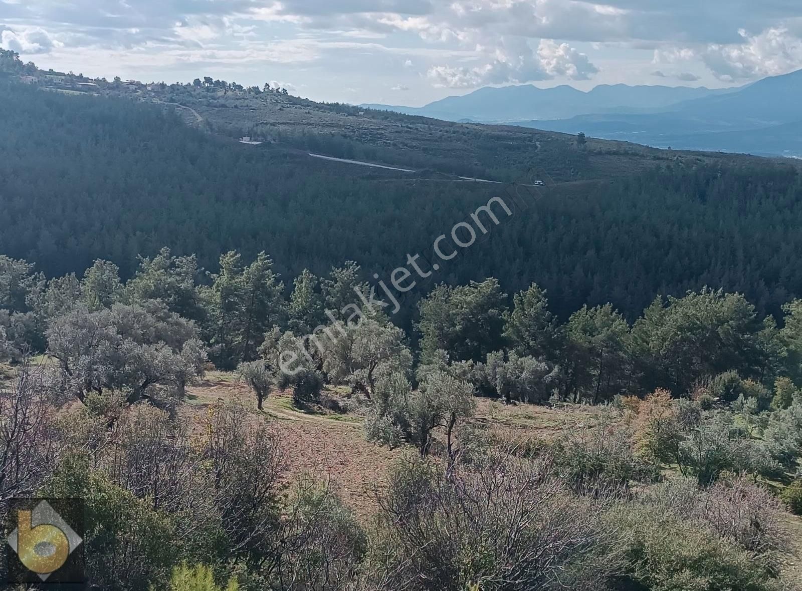 Seydikemer Çatak Ta Satılık Tarla - Görsel 2