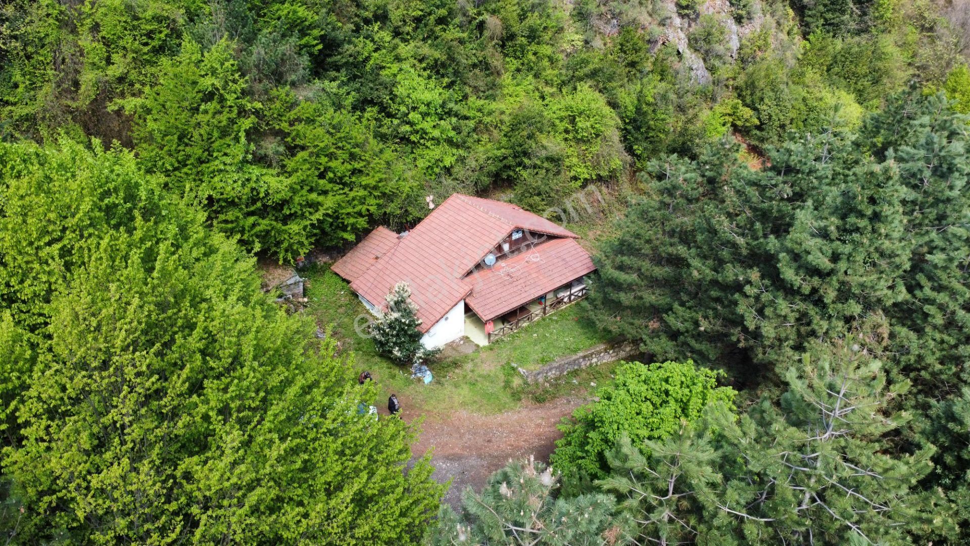 Kartepe Eteklerinde Fırsat B Tipi Mesire Ve Konaklama Alanı