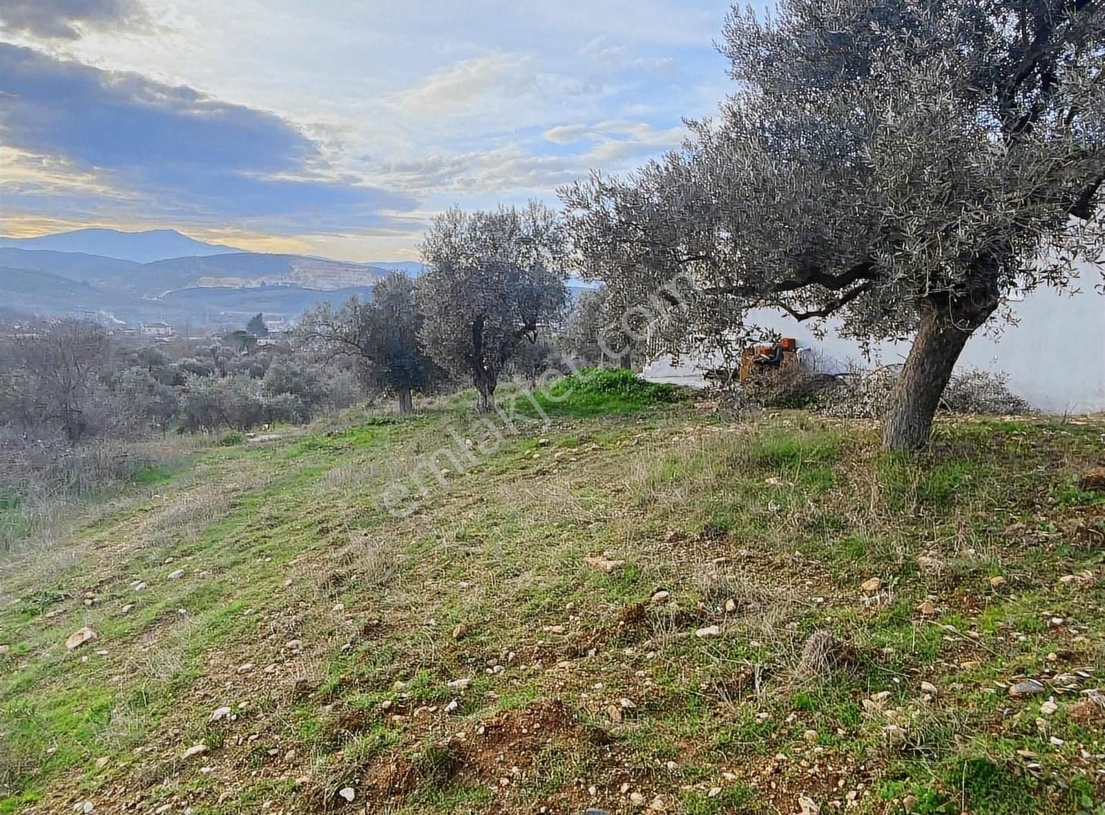 Pek Emlaktan Muhteşem Bir Doğa Ve Yaşam Sizi Beyliyor - Görsel 10