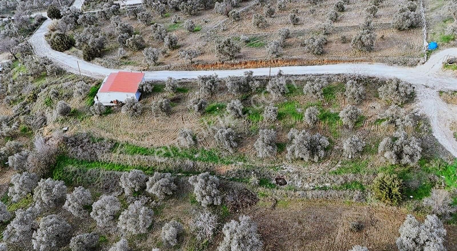 Pek Emlaktan Muhteşem Bir Doğa Ve Yaşam Sizi Beyliyor - Görsel 6