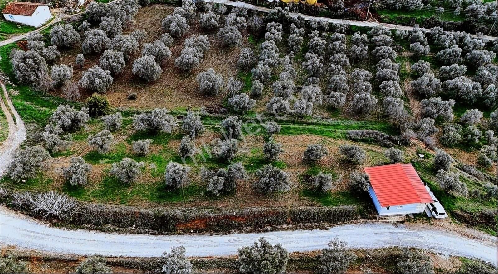 Pek Emlaktan Muhteşem Bir Doğa Ve Yaşam Sizi Beyliyor - Görsel 12