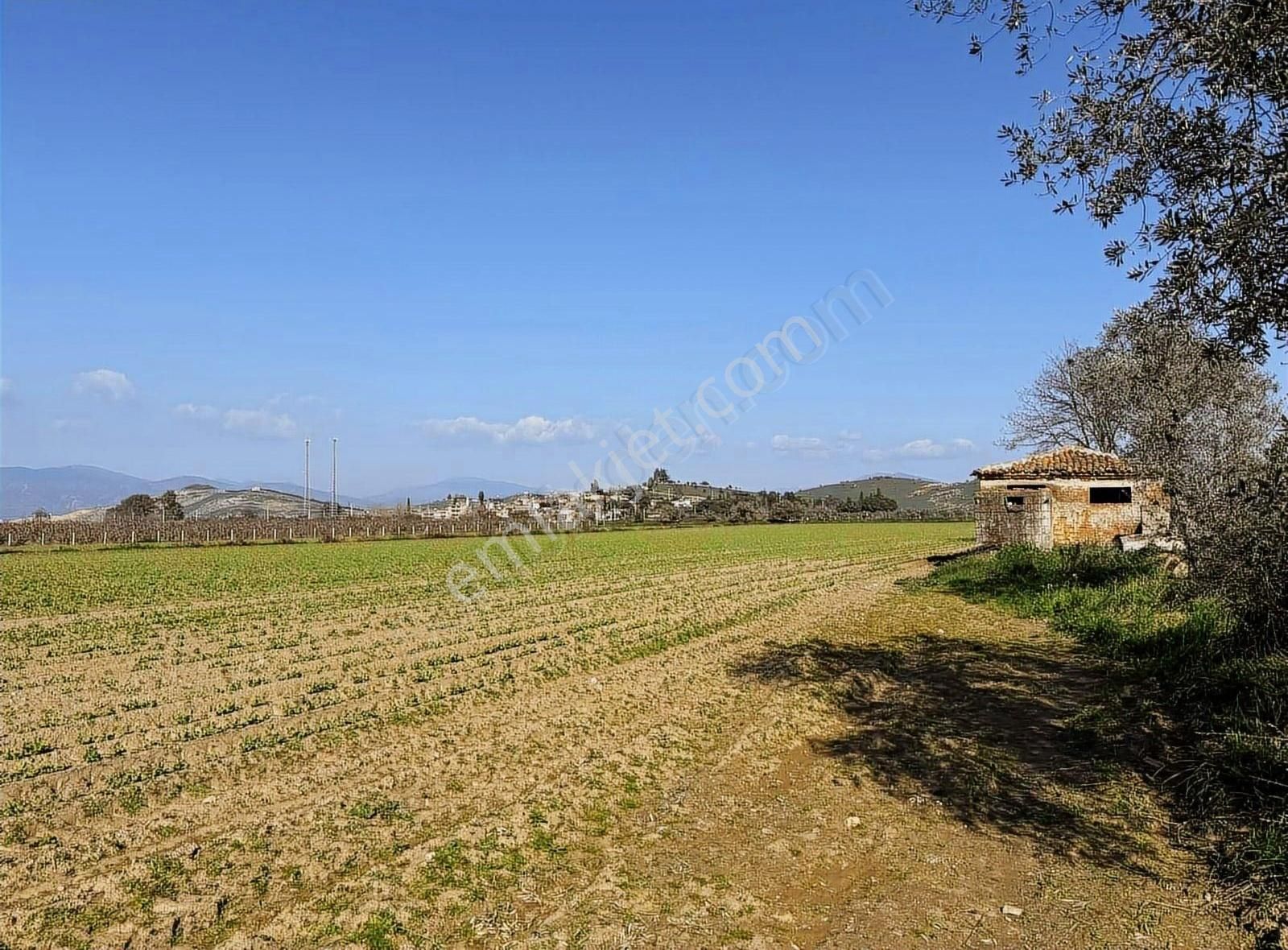 Pek Emlaktan 26,000 M2 1 Ci Sınıf Satılık Verimli İmarılı Tarla - Görsel 15