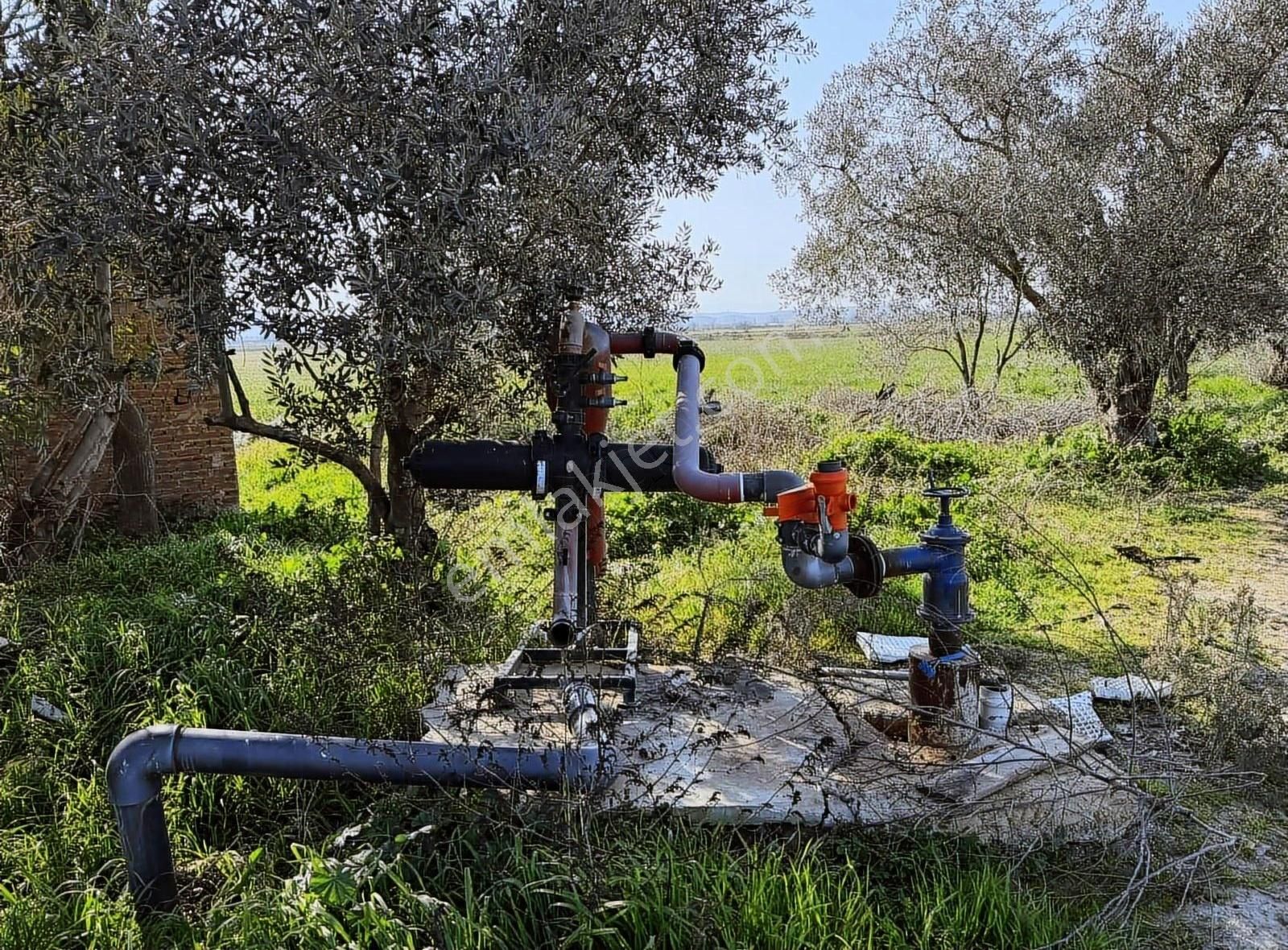 Pek Emlaktan 26,000 M2 1 Ci Sınıf Satılık Verimli İmarılı Tarla - Görsel 2