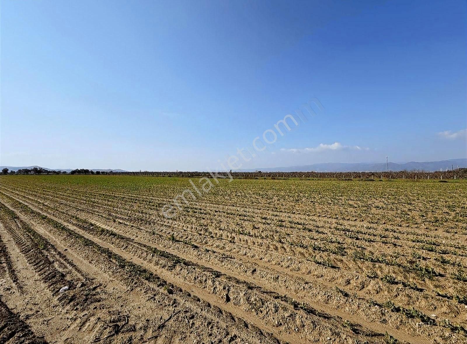 Pek Emlaktan 26,000 M2 1 Ci Sınıf Satılık Verimli İmarılı Tarla - Görsel 21