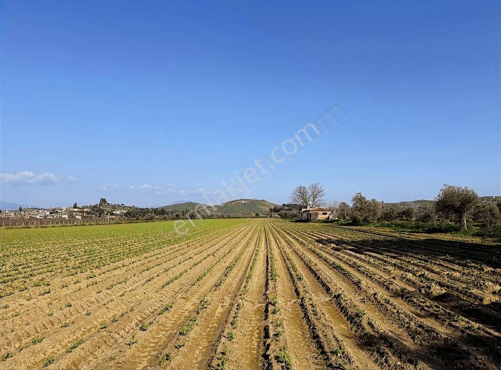 Pek Emlaktan 26,000 M2 1 Ci Sınıf Satılık Verimli İmarılı Tarla - Görsel 14