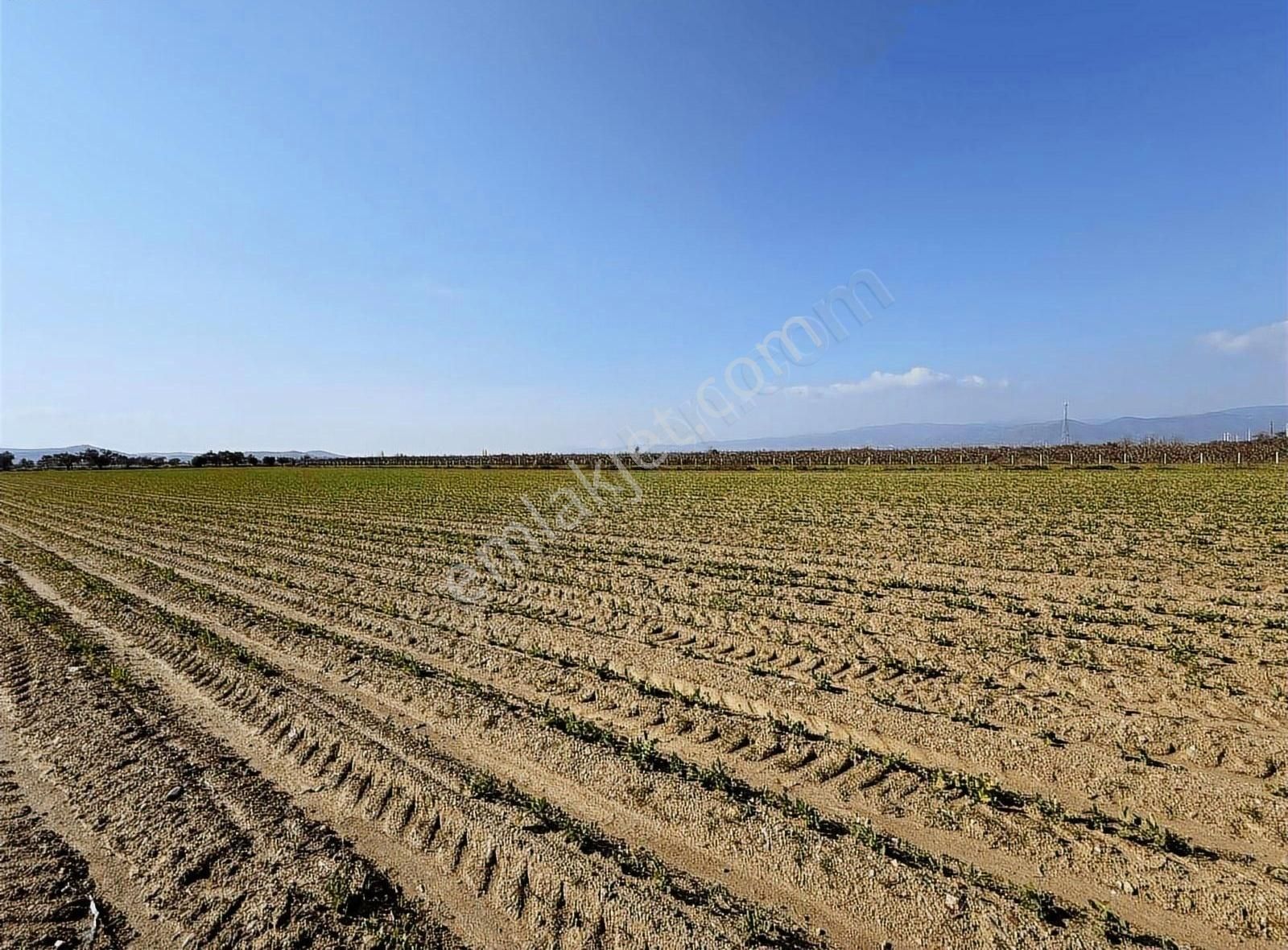 Pek Emlaktan 26,000 M2 1 Ci Sınıf Satılık Verimli İmarılı Tarla - Görsel 22