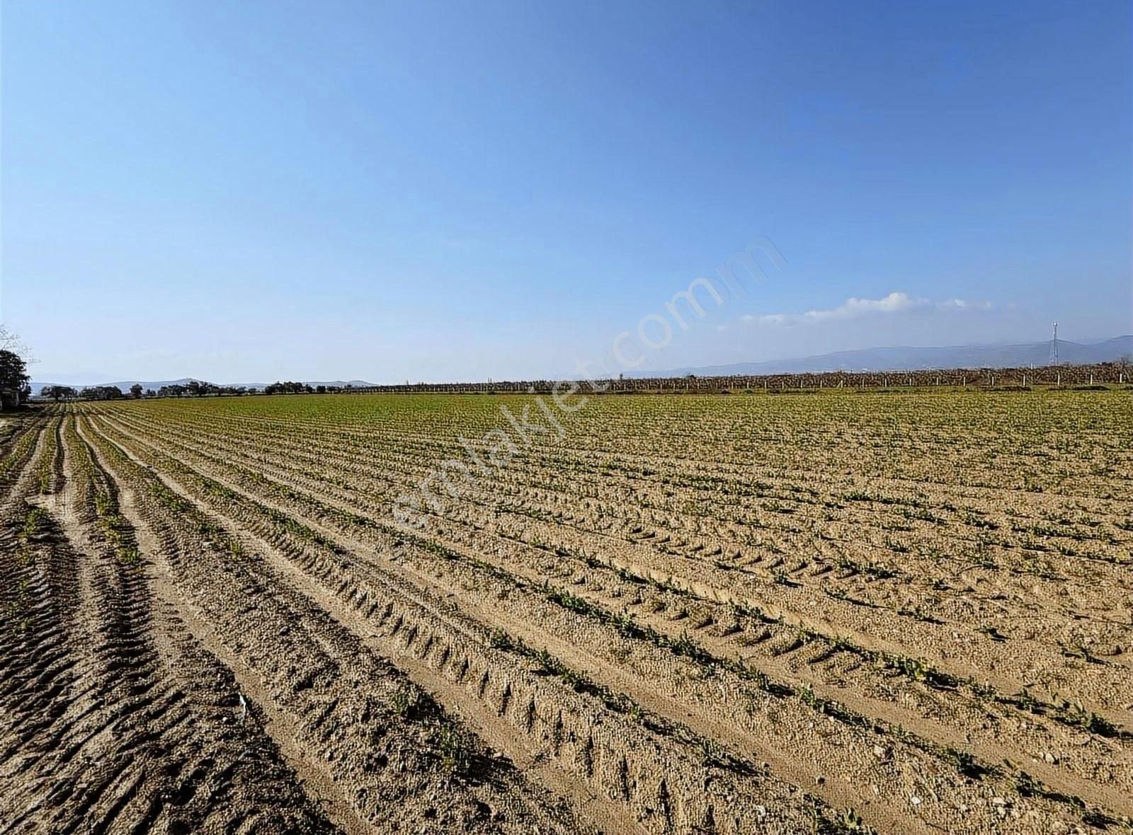 Pek Emlaktan 26,000 M2 1 Ci Sınıf Satılık Verimli İmarılı Tarla - Görsel 17
