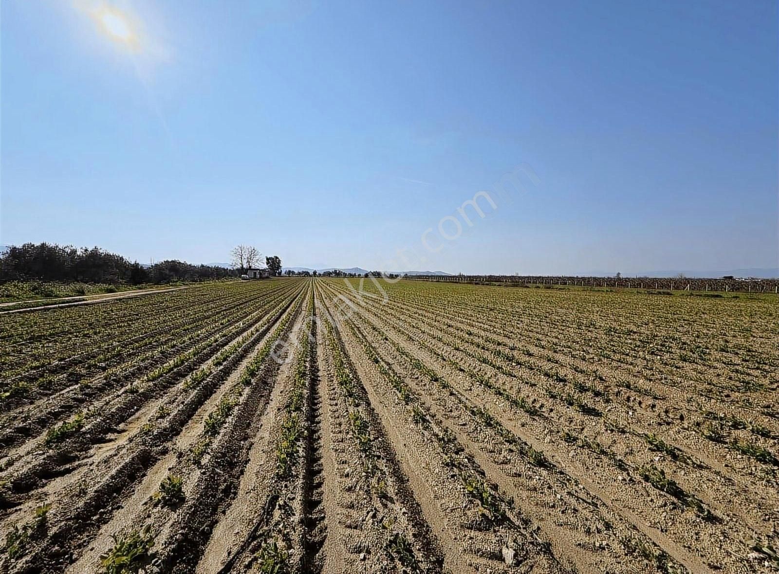 Pek Emlaktan 26,000 M2 1 Ci Sınıf Satılık Verimli İmarılı Tarla - Görsel 19