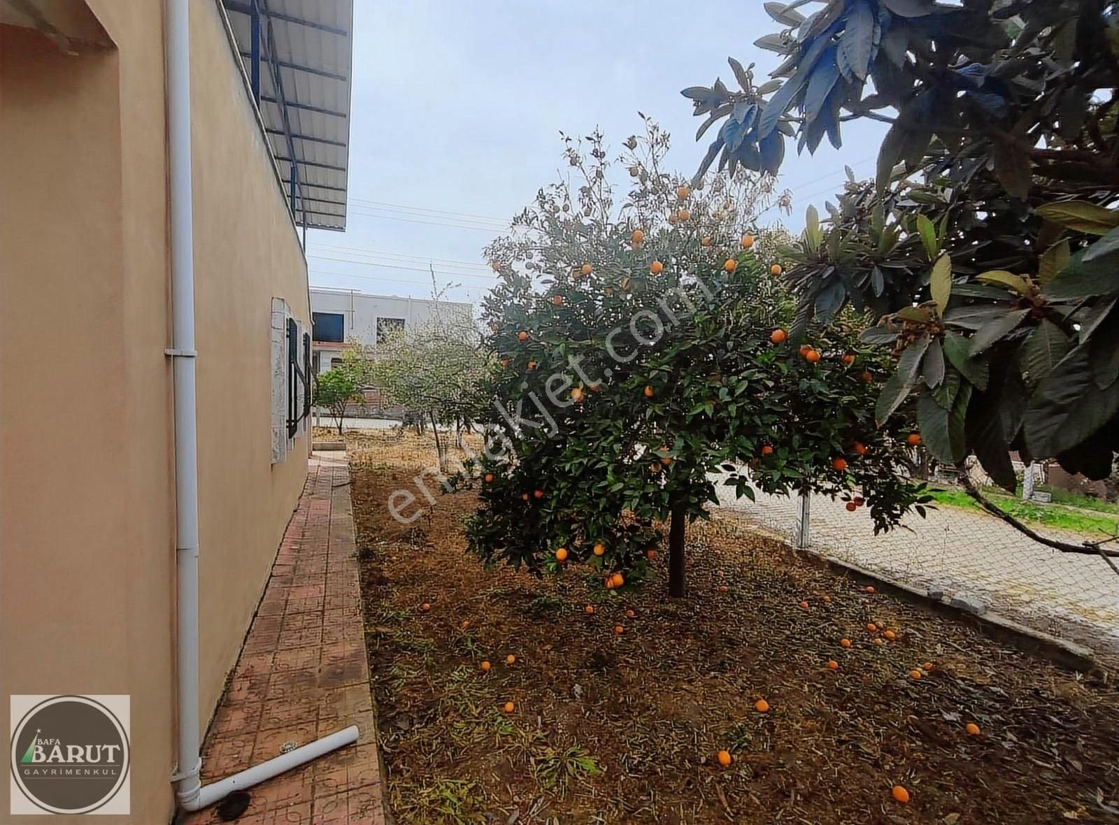 Hayallerinizi Ertelemeyin! - Görsel 4