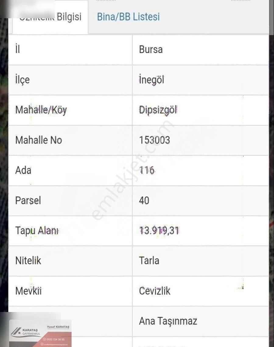 İnegöl Dipsizgölde 14 Dönüm Kupon Ceviz Bahçesi - Görsel 2