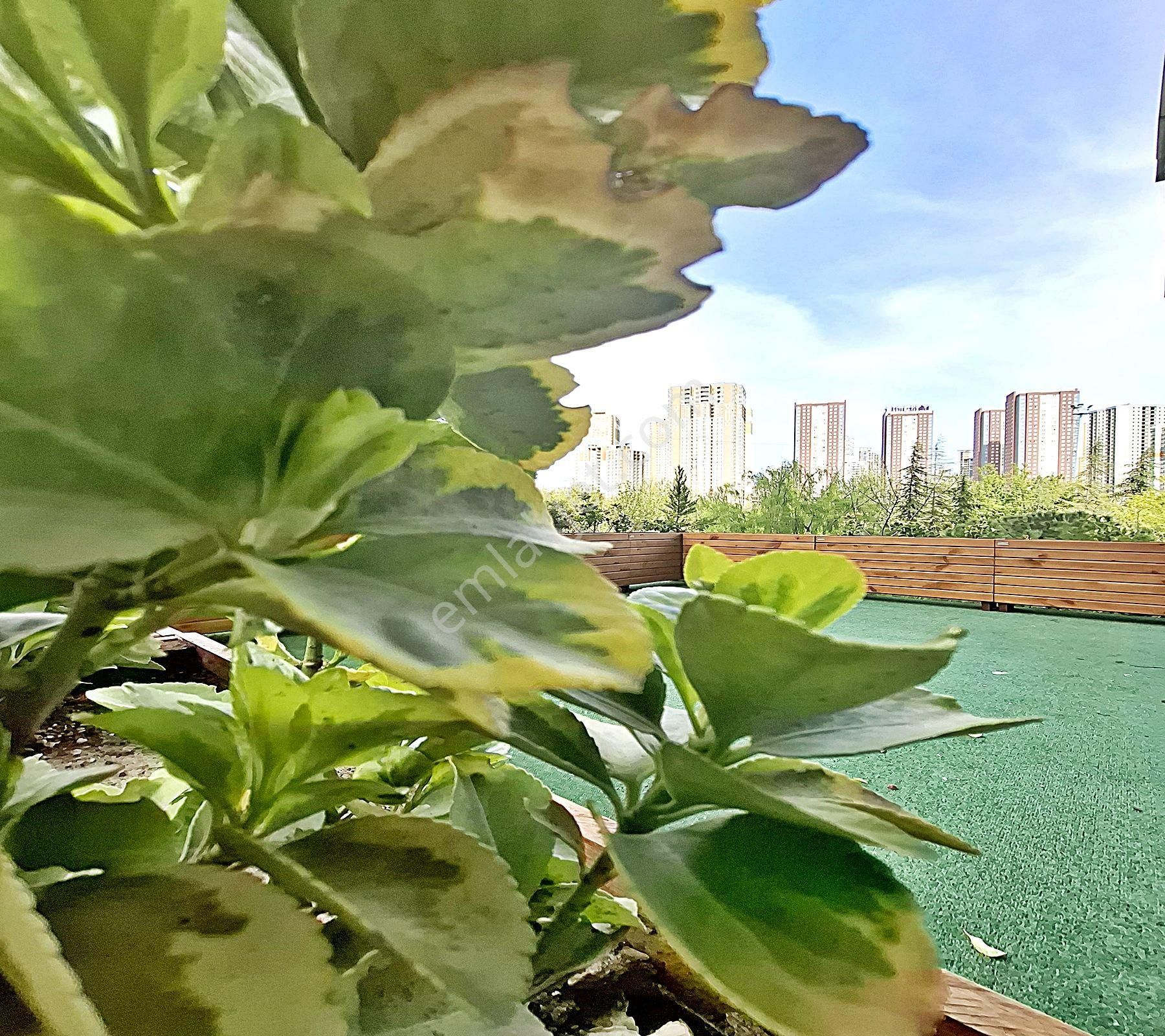 Hanev'den 50m2 Teraslı 1+1 Sıfır Site İçi Güvenlikli Lüx Daire ! - Görsel 29