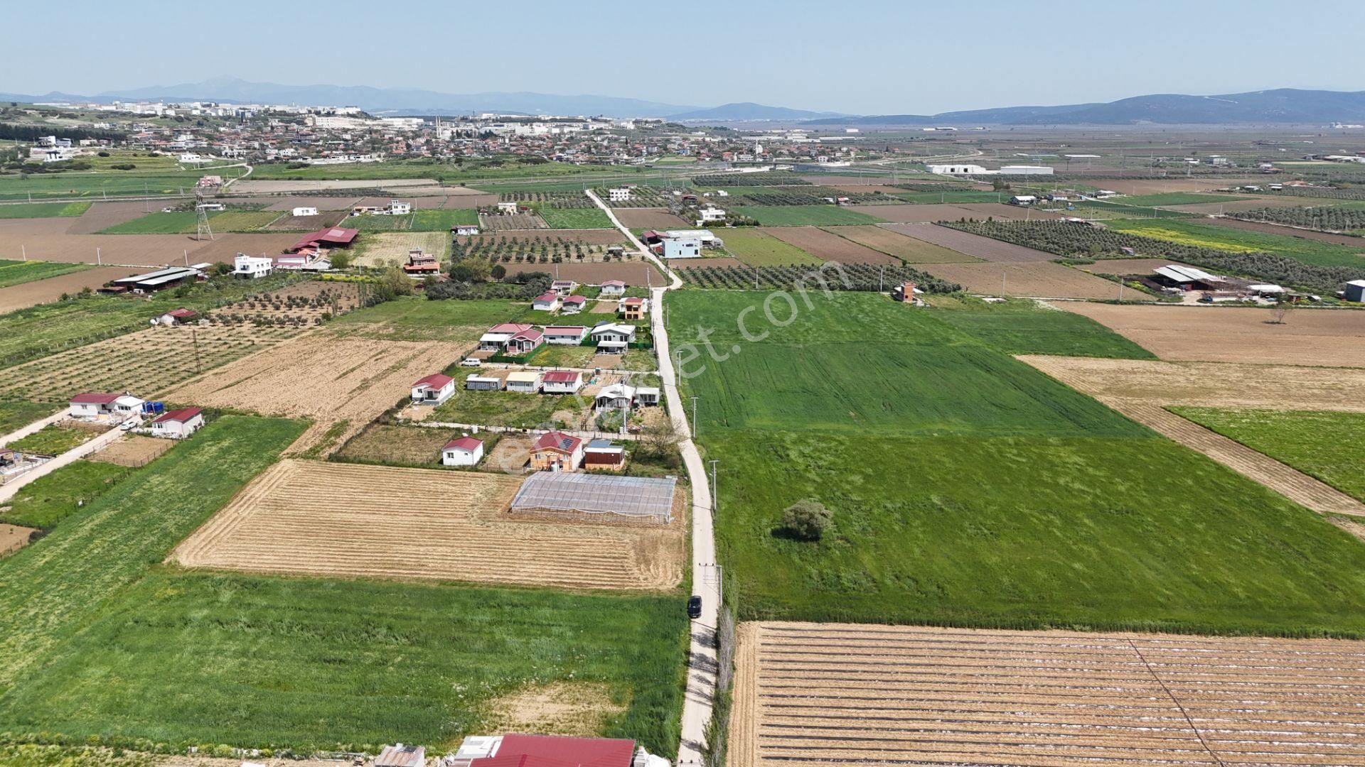 Varna'dan İzbana Yakın Satılık 850 M2 Tapulu Bahçeler - Görsel 18