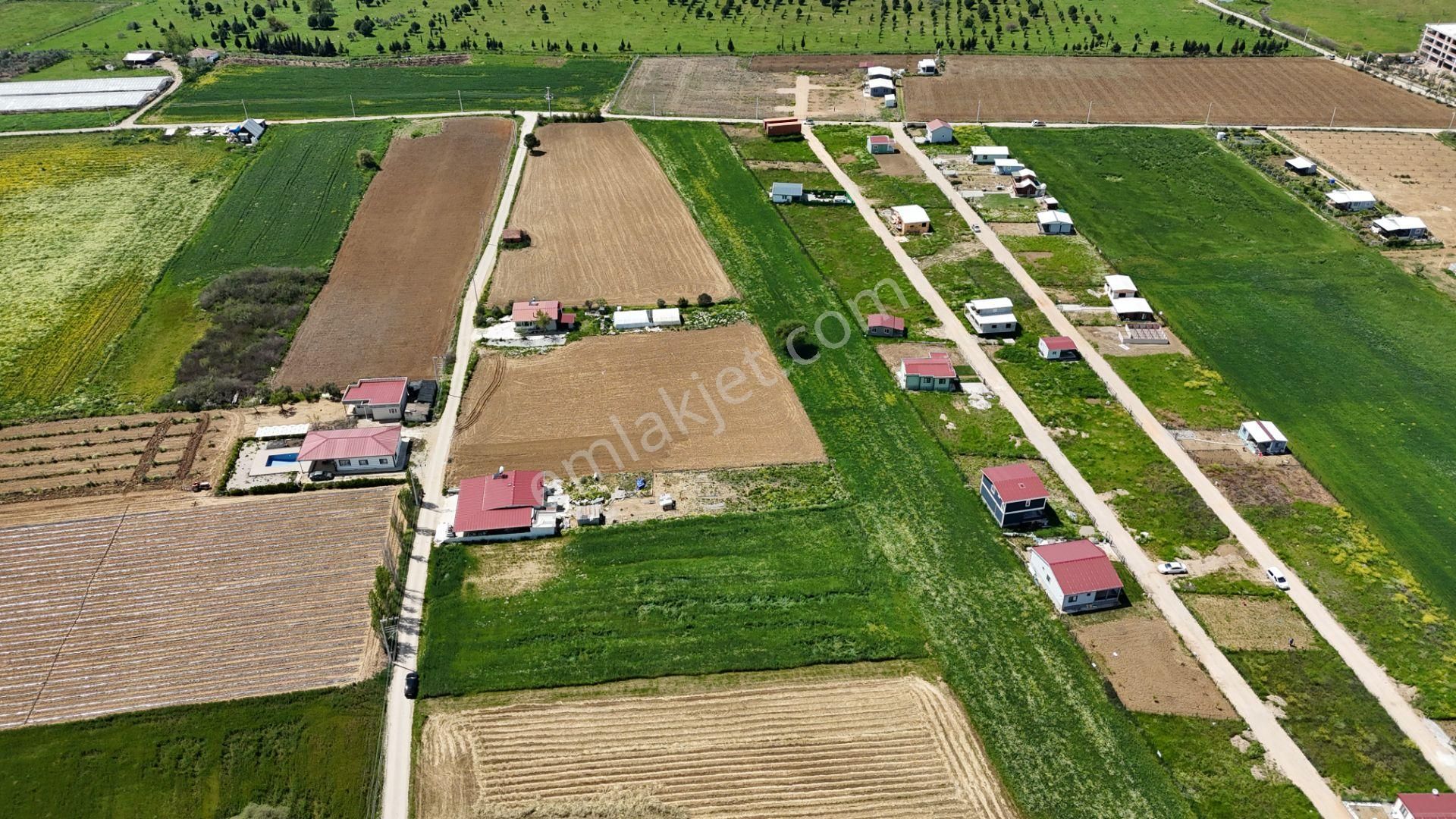 Varna'dan İzbana Yakın Satılık 850 M2 Tapulu Bahçeler - Görsel 12