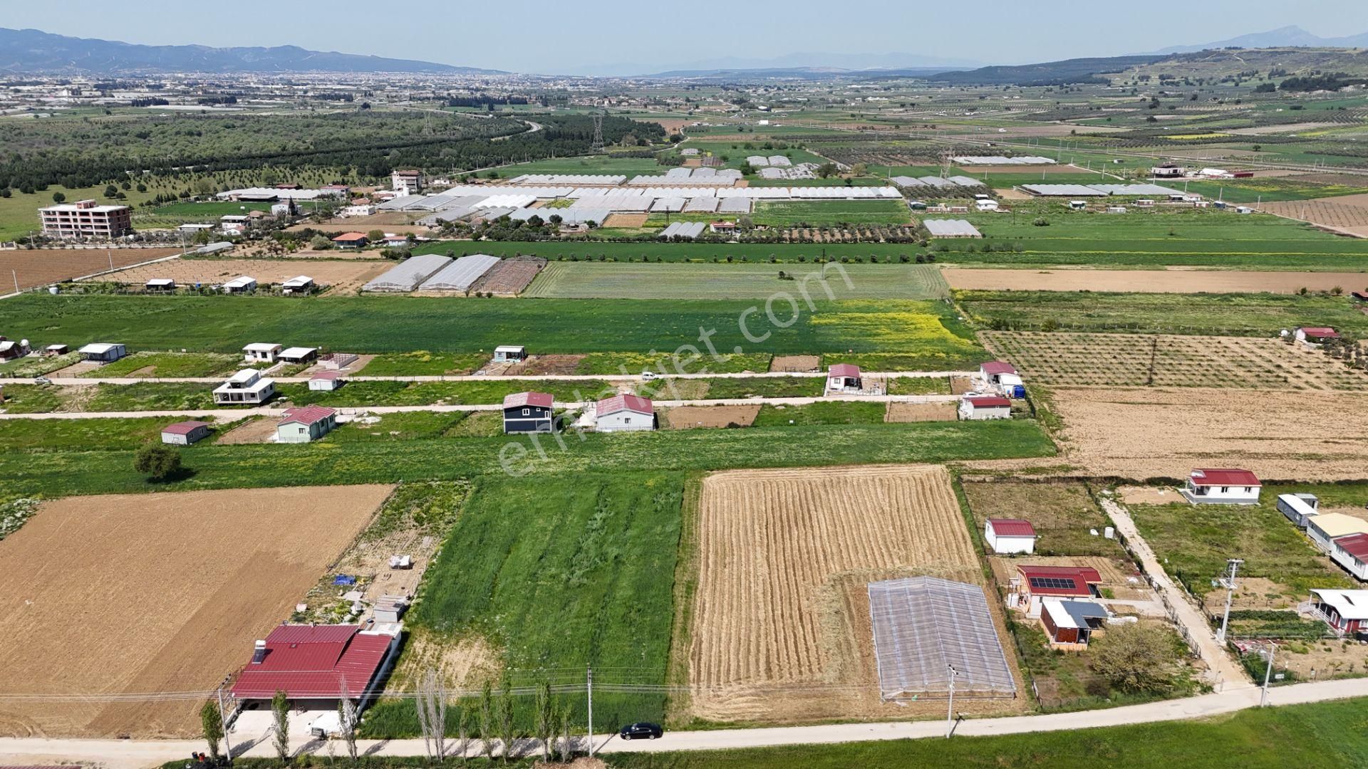 Varna'dan İzbana Yakın Satılık 850 M2 Tapulu Bahçeler - Görsel 4