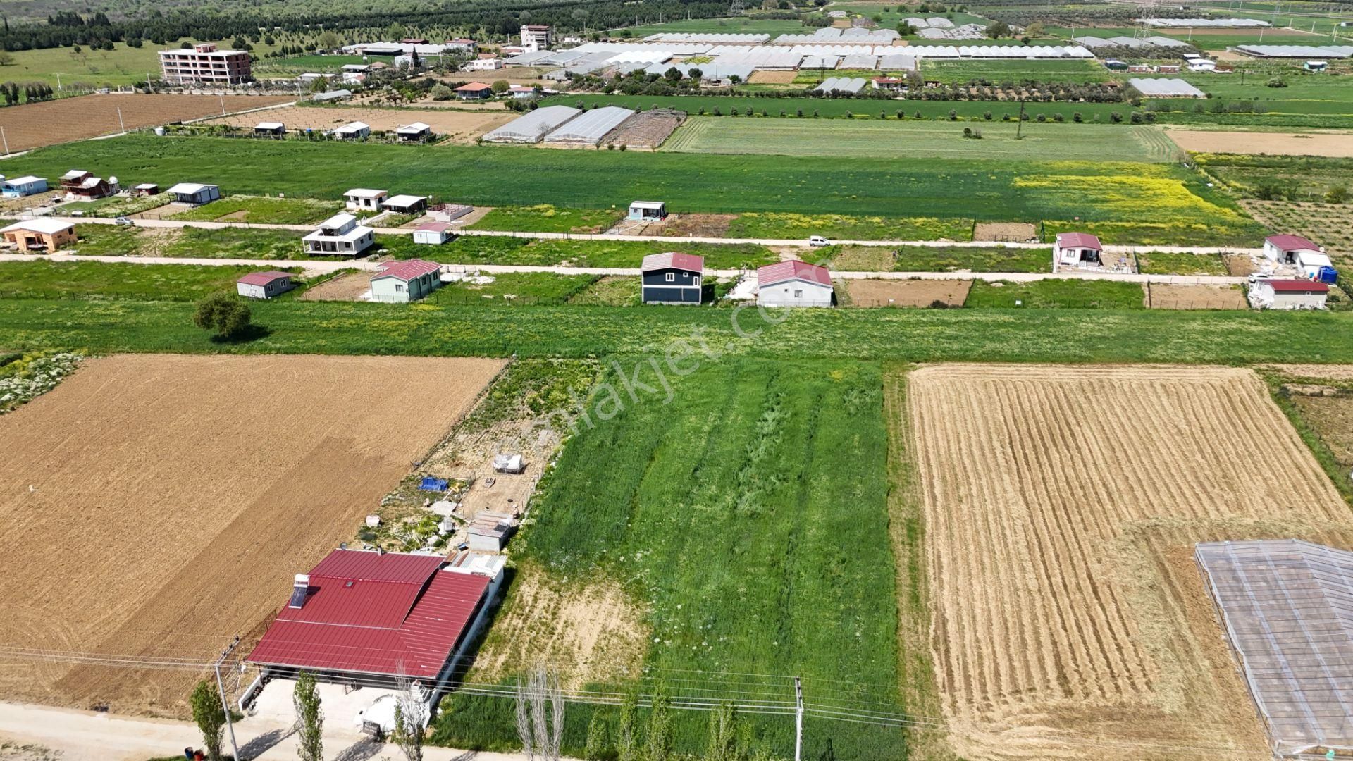 Varna'dan İzbana Yakın Satılık 850 M2 Tapulu Bahçeler - Görsel 17