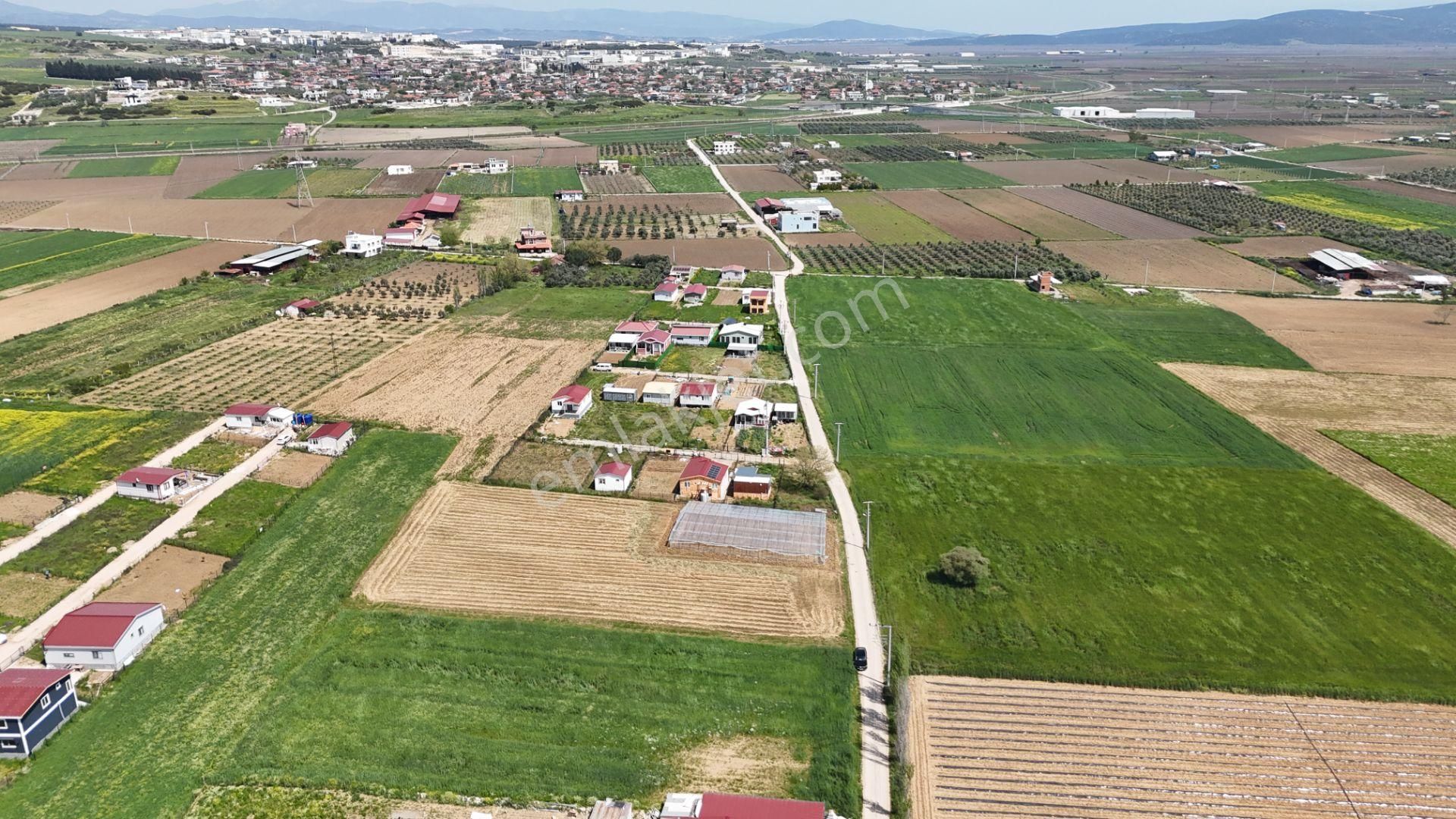 Varna'dan İzbana Yakın Satılık 850 M2 Tapulu Bahçeler - Görsel 19