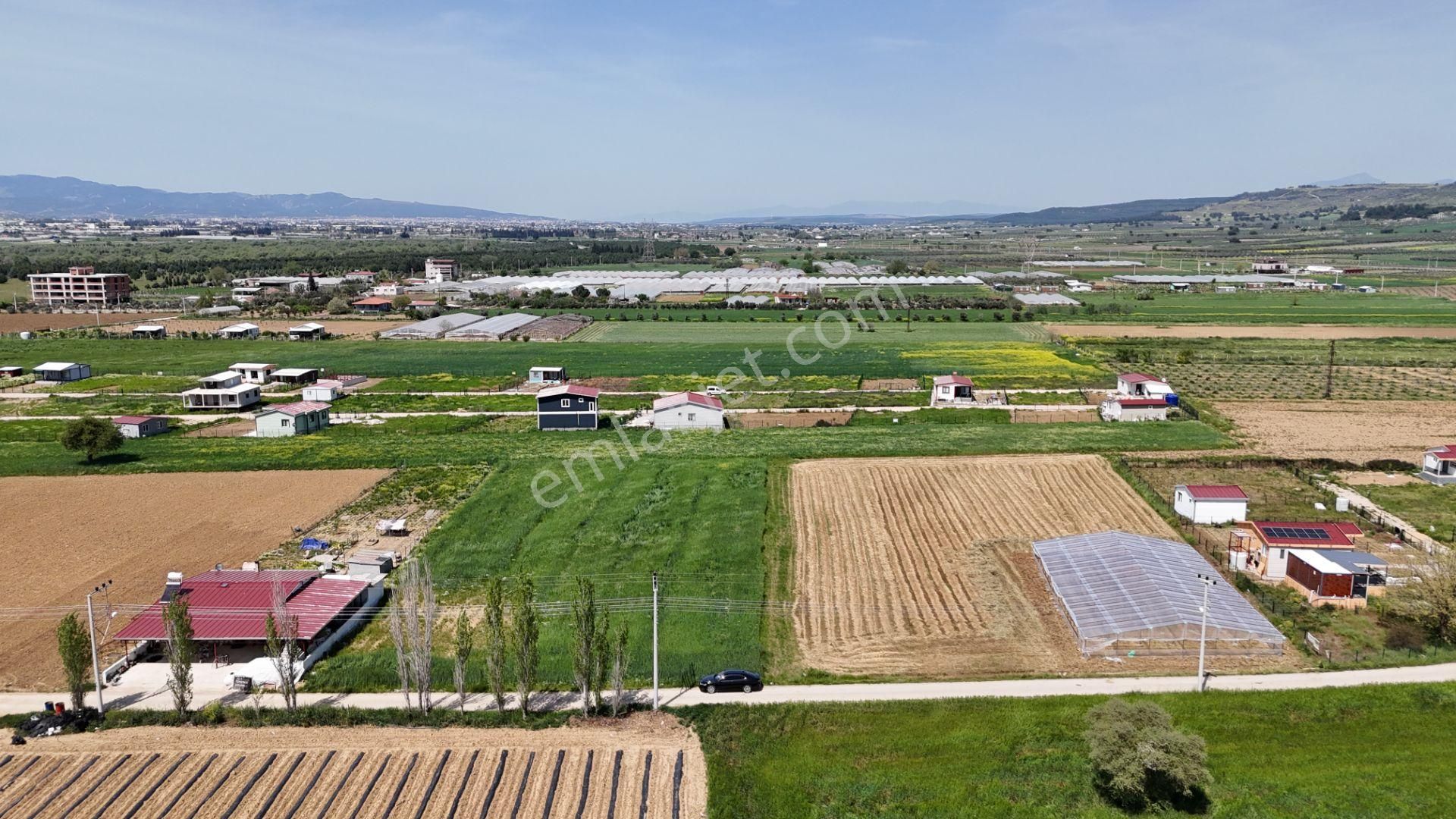 Varna'dan İzbana Yakın Satılık 850 M2 Tapulu Bahçeler - Görsel 3