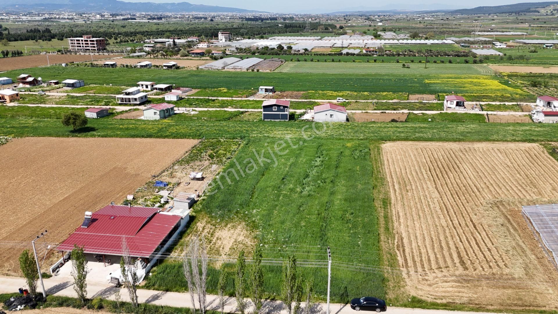 Varna'dan İzbana Yakın Satılık 850 M2 Tapulu Bahçeler - Görsel 16