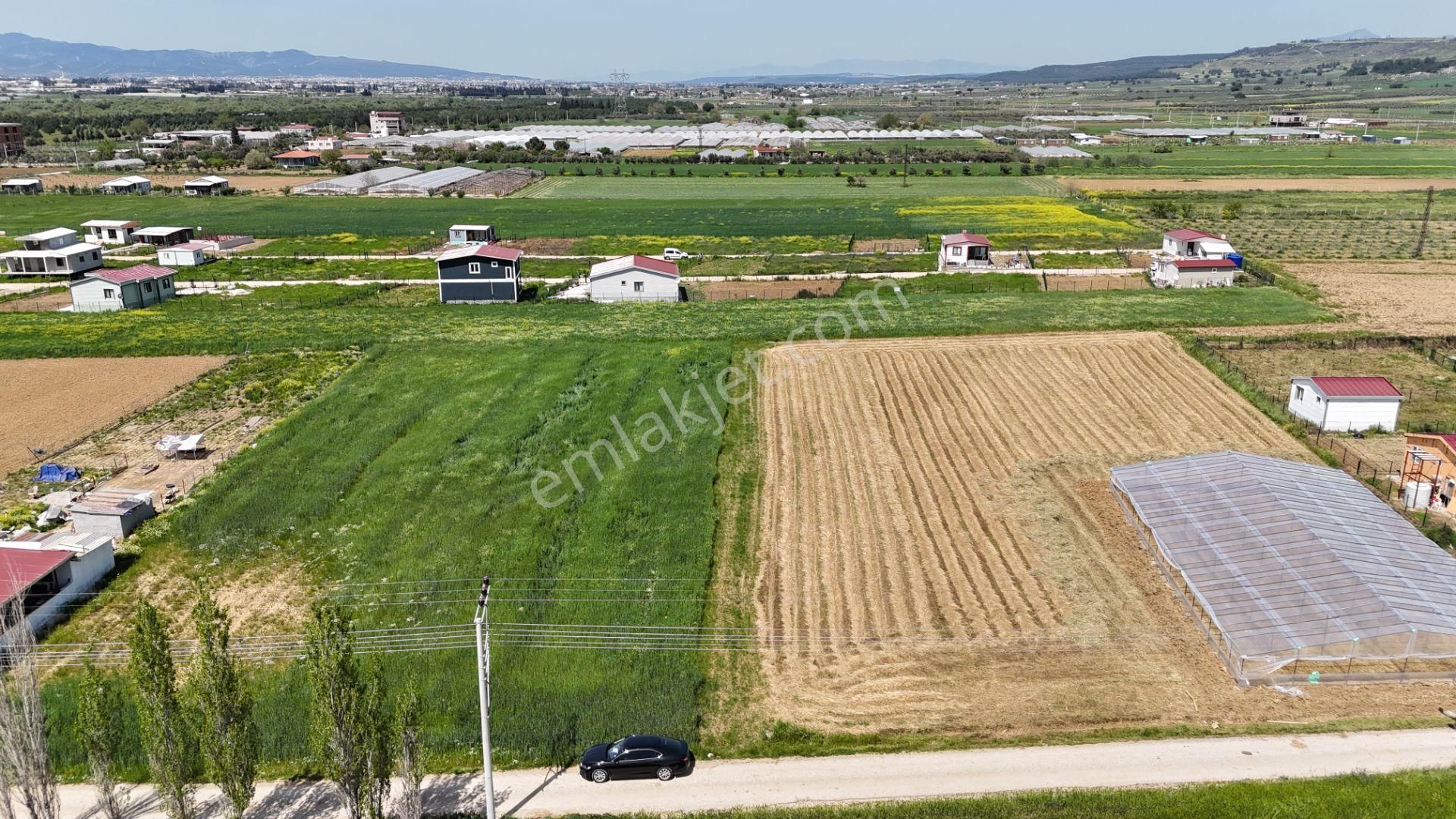 Varna'dan İzbana Yakın Satılık 850 M2 Tapulu Bahçeler - Görsel 2