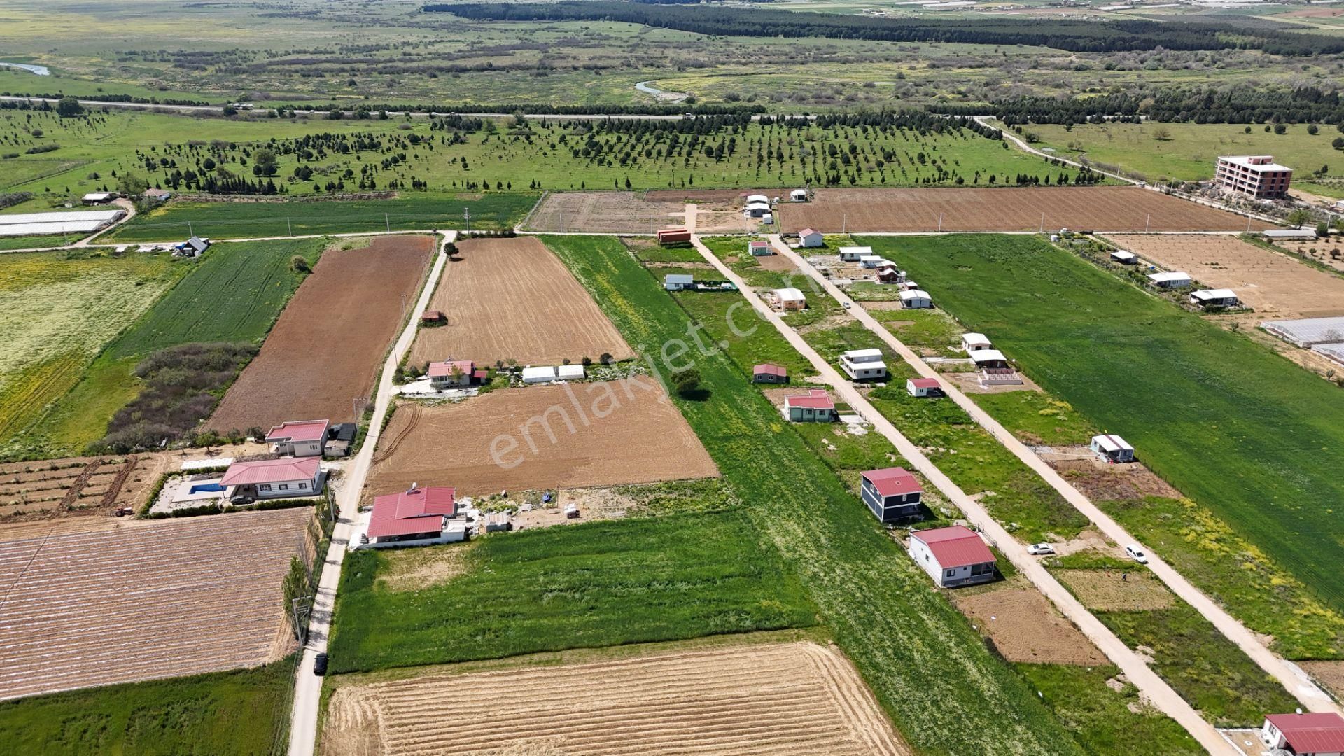 Varna'dan İzbana Yakın Satılık 850 M2 Tapulu Bahçeler - Görsel 11