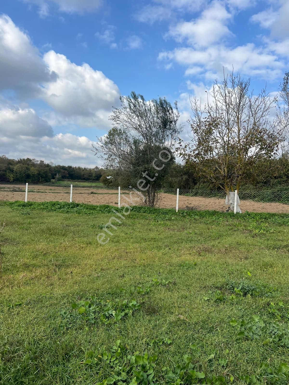 Acil Satılıkt - Görsel 6