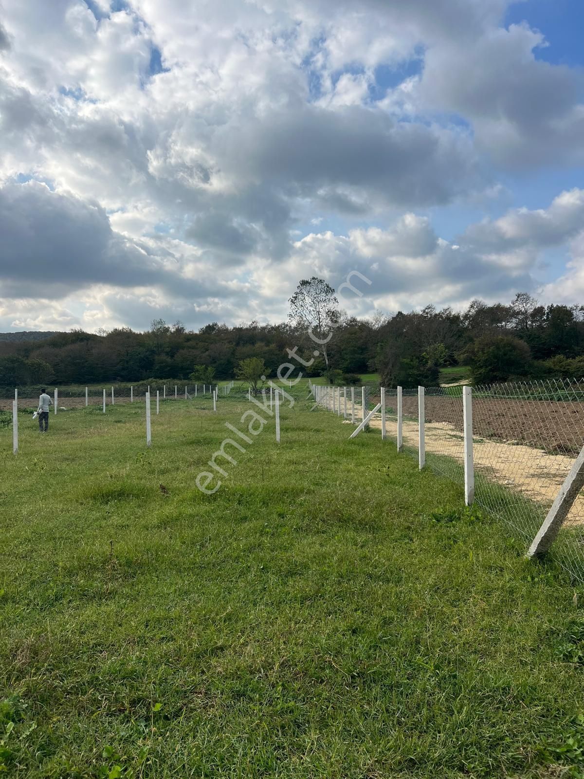 Acil Satılıkt - Görsel 4