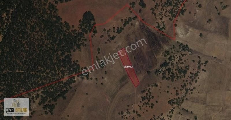 Doğalarda Fırsat Tarla