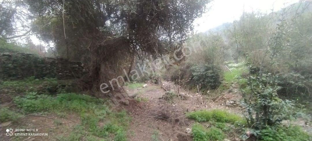 Milas Selimiye Etrenli'de Köyiçi Satılık Arsa - Görsel 2