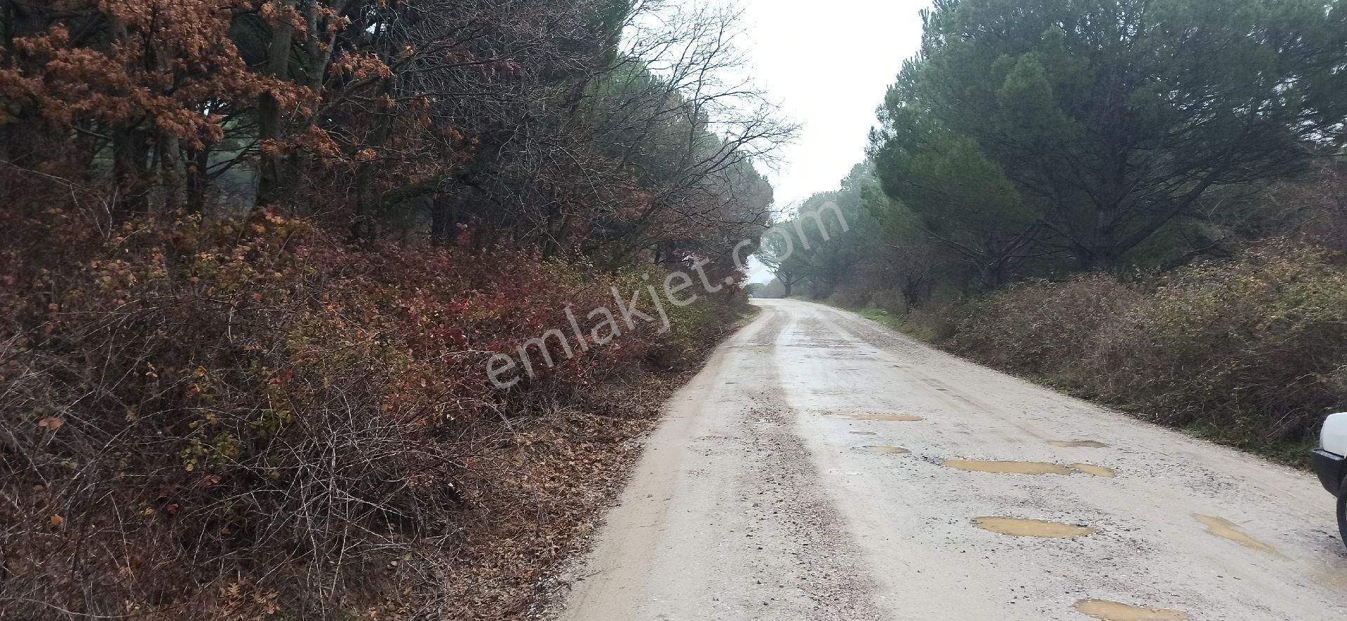 Kozak Yaylasında Tarımsal İmarlı 7 Dönüm Çamlık - Görsel 21