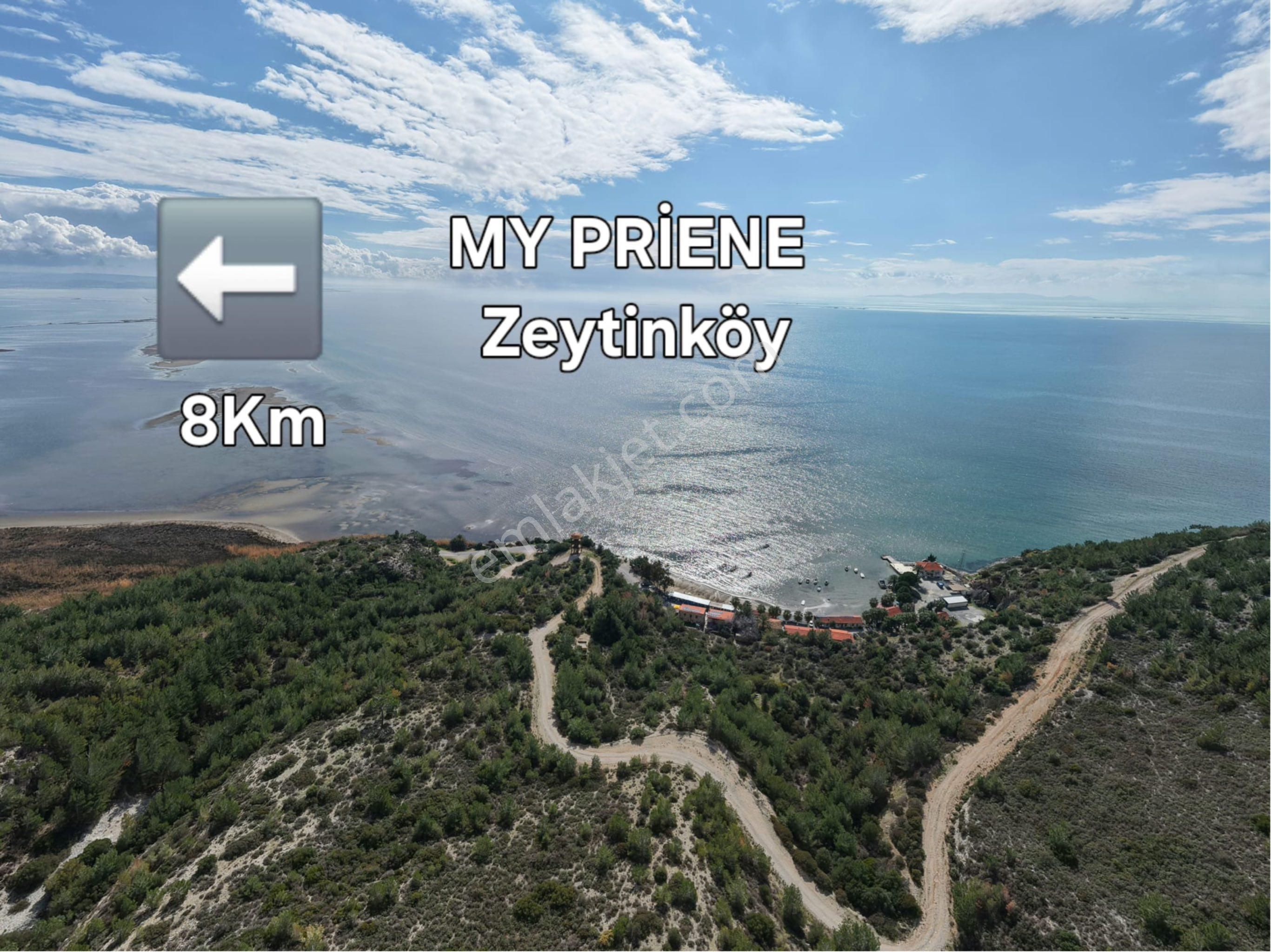 Söke’de Fırsat Arsa Yatırımı Başladı “ My Priene Zeytinköy “ - Görsel 2