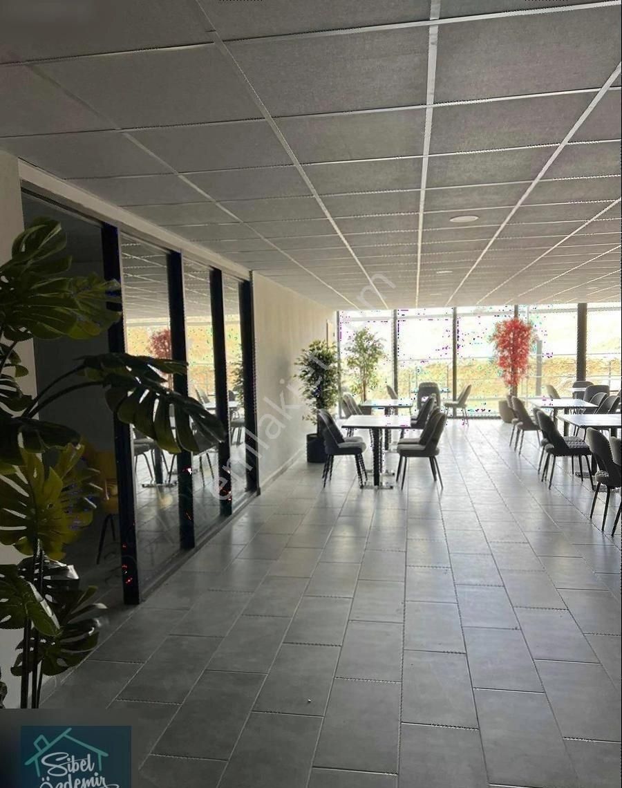 Alacaatlı Natura Sitesind Hiç Oturulmamış 3+1 Süper Daire