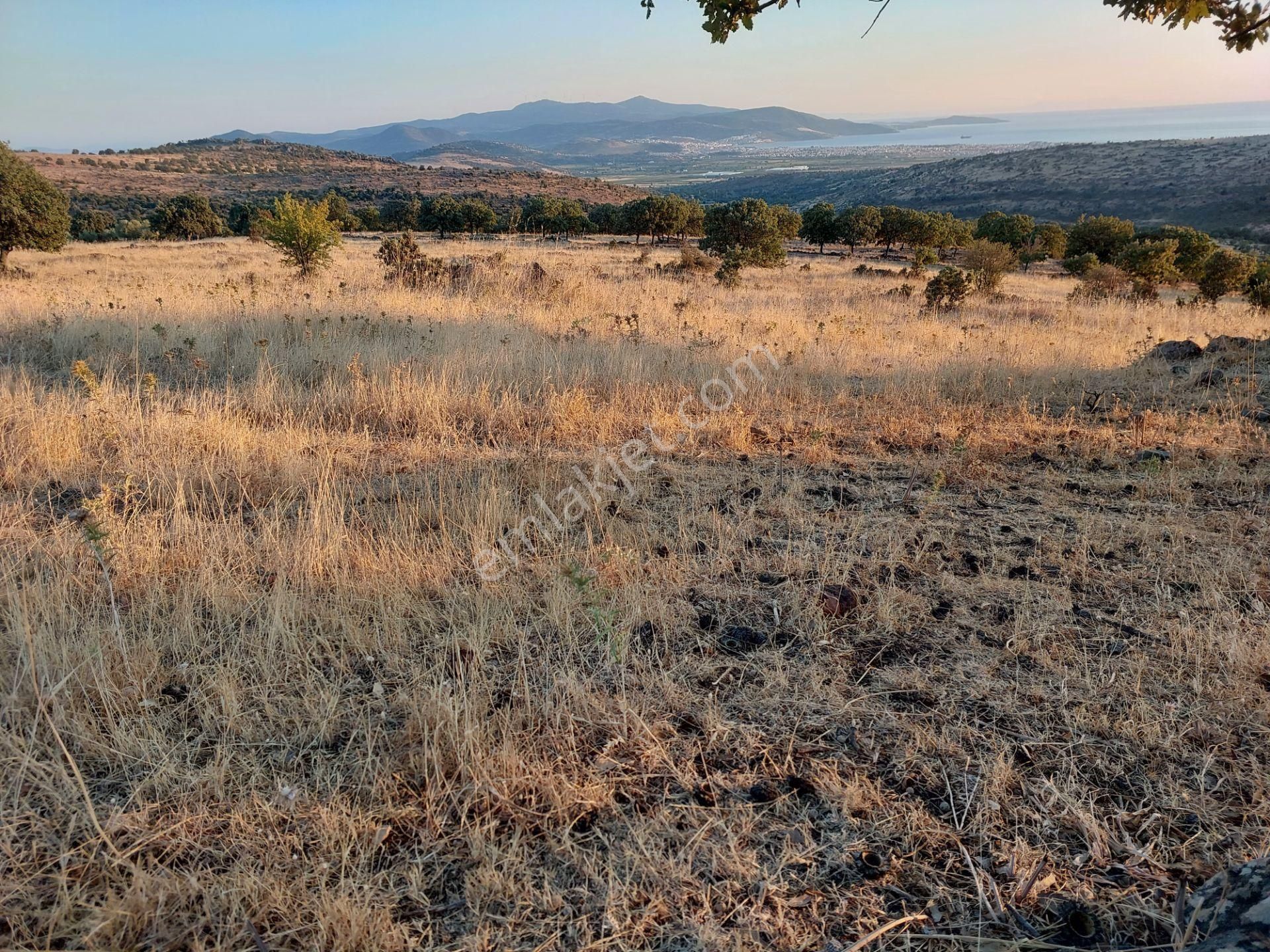 İzmir Dikili Kızılçukurda Satılık Muhteşem Deniz Manzaralı Tarla - Görsel 23