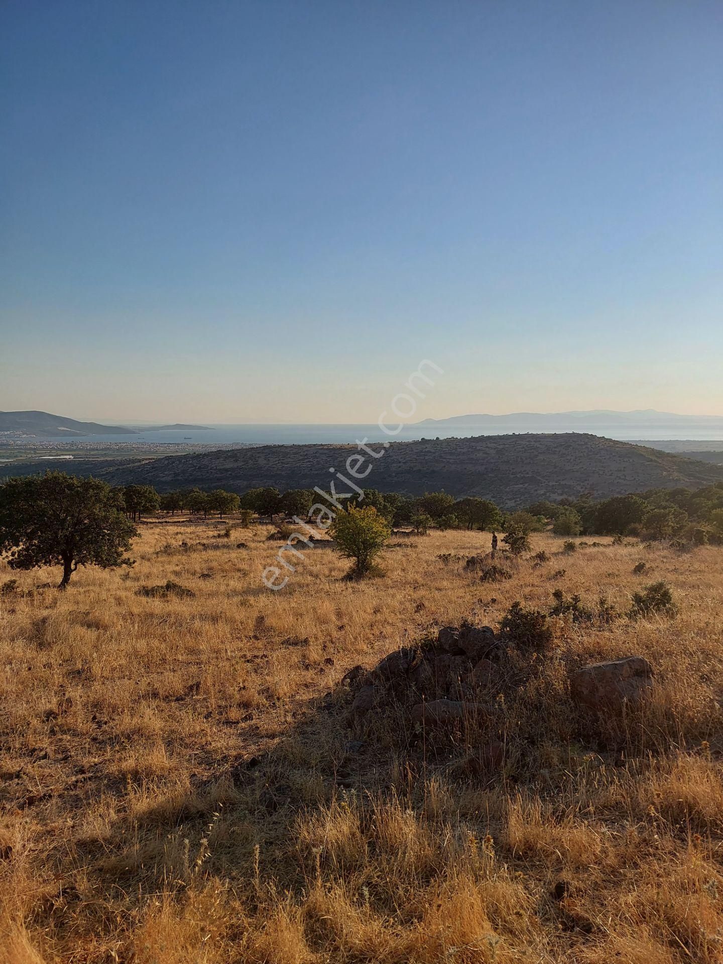 İzmir Dikili Kızılçukurda Satılık Muhteşem Deniz Manzaralı Tarla - Görsel 9
