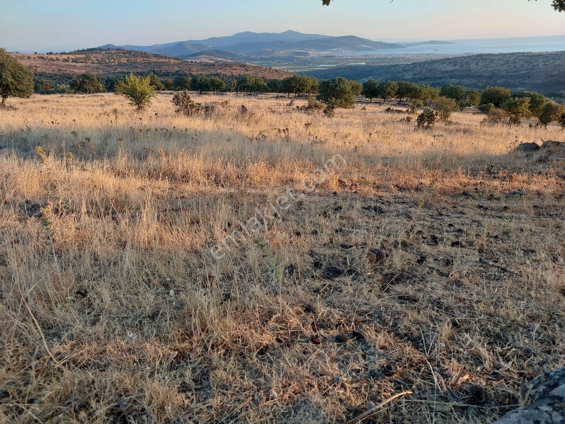 İzmir Dikili Kızılçukurda Satılık Muhteşem Deniz Manzaralı Tarla - Görsel 24