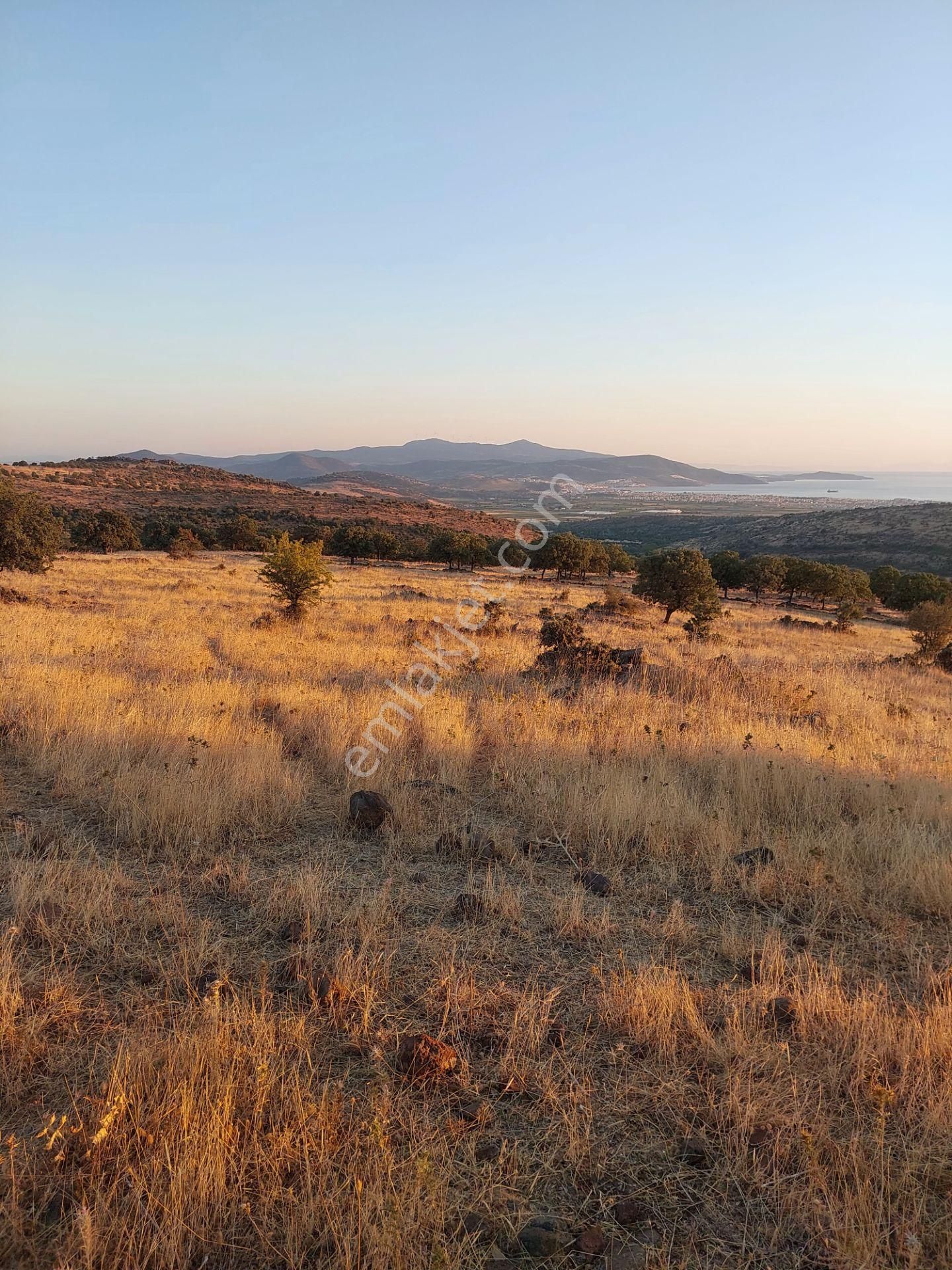 İzmir Dikili Kızılçukurda Satılık Muhteşem Deniz Manzaralı Tarla - Görsel 31