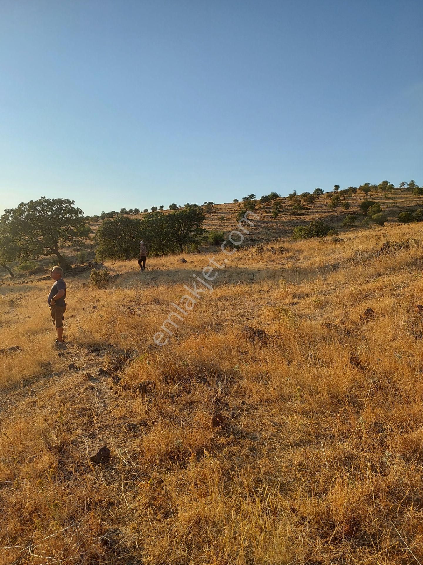 İzmir Dikili Kızılçukurda Satılık Muhteşem Deniz Manzaralı Tarla - Görsel 11