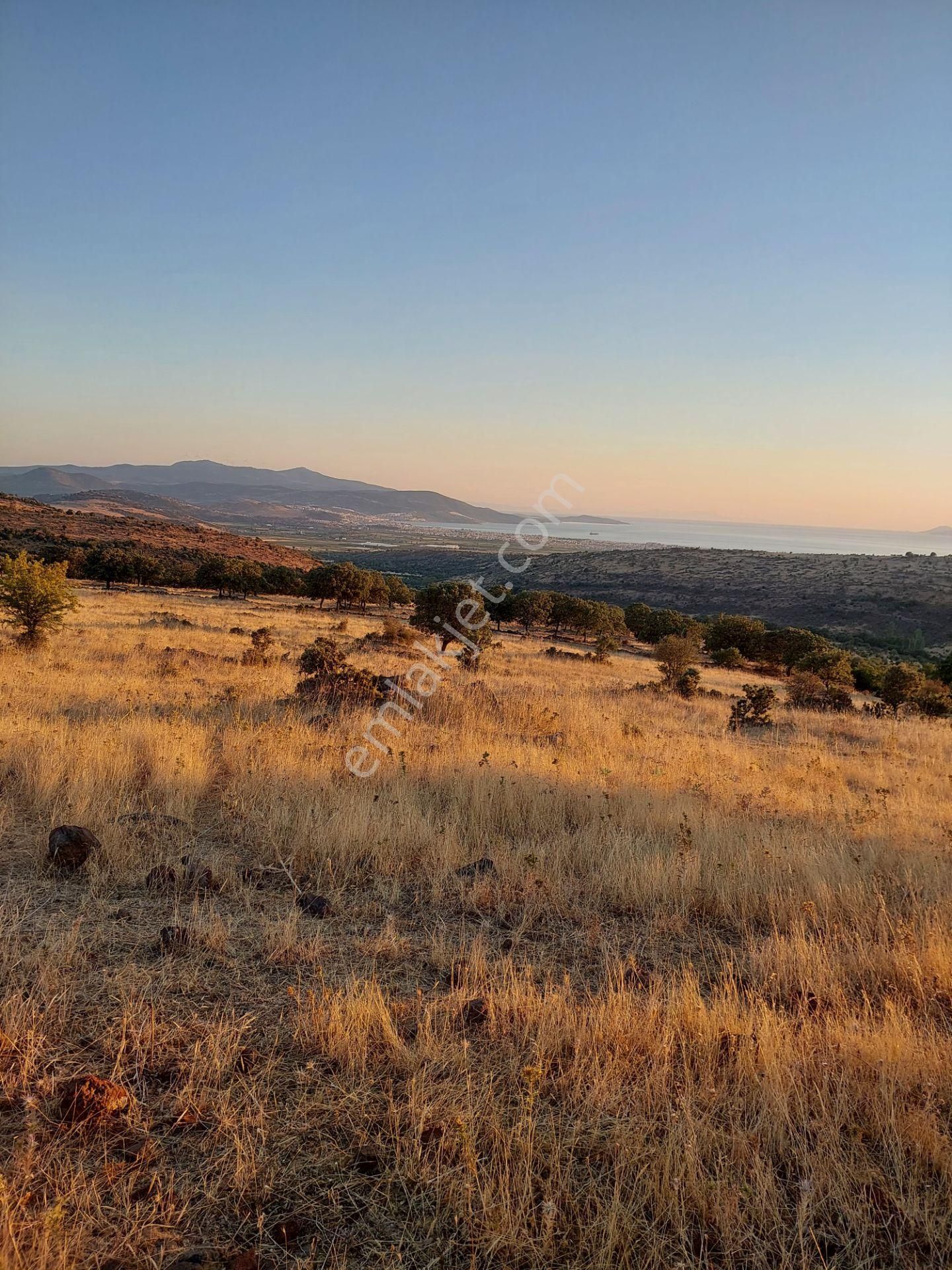 İzmir Dikili Kızılçukurda Satılık Muhteşem Deniz Manzaralı Tarla - Görsel 33